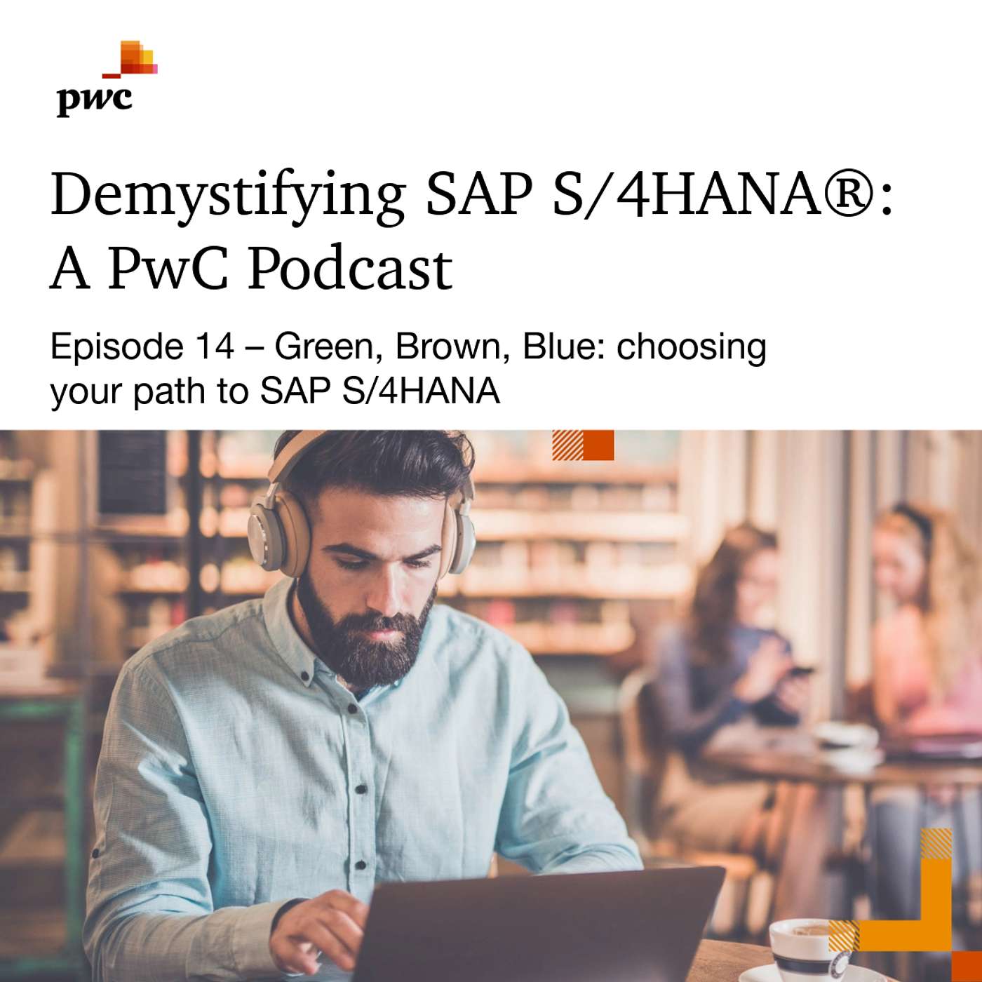 14: Green, Brown, Blue: Choosing Your Path to SAP S/4HANA