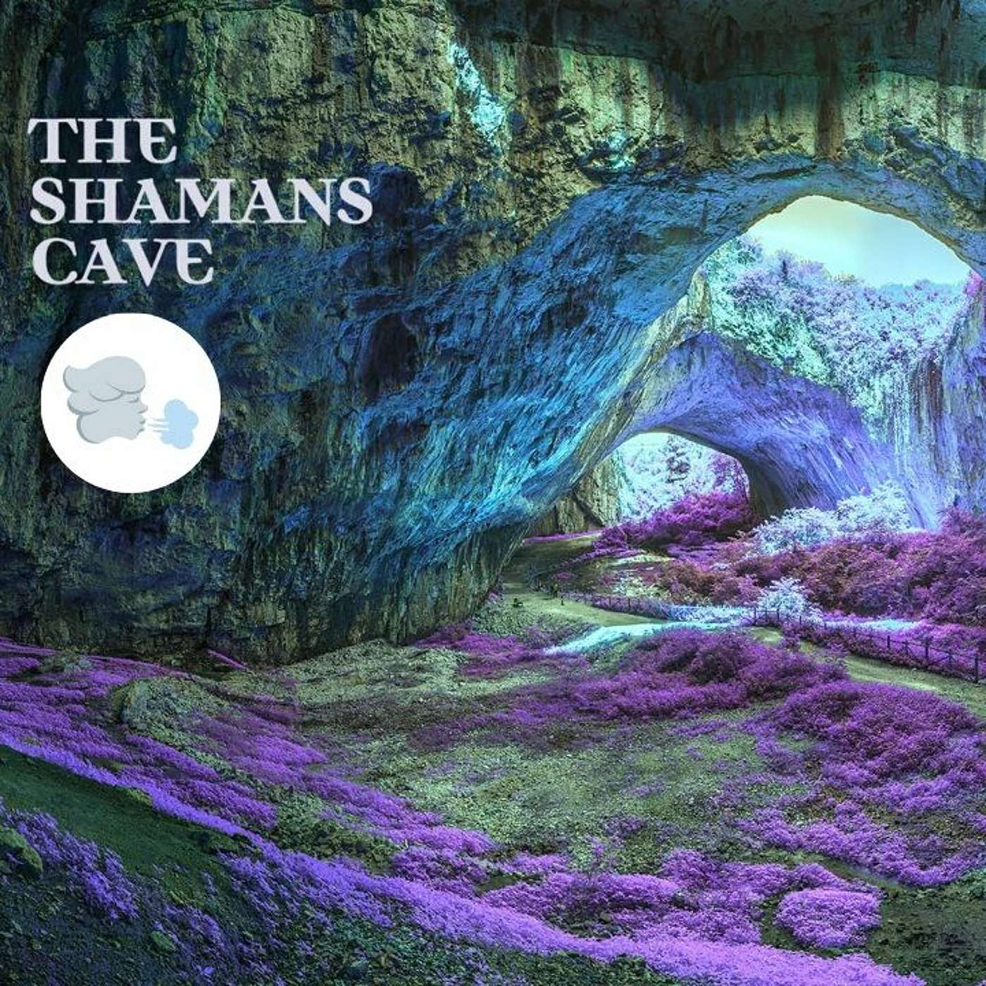 Let The Wind Be Your Ally In Releasing Stuck Energy: Shamans Cave episode artwork