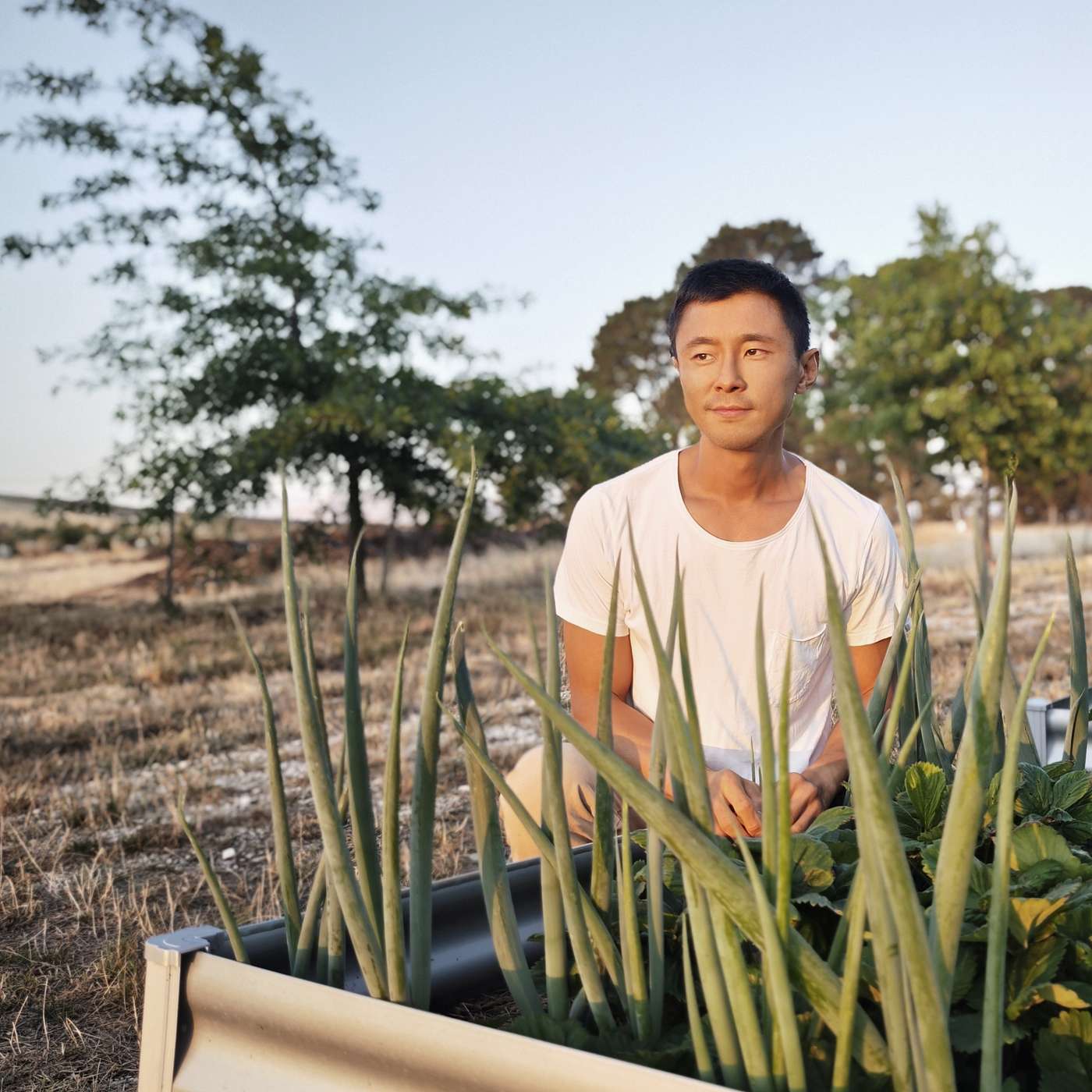 Tiny House Tree Change to Financial Freedom: Nick E3, S3