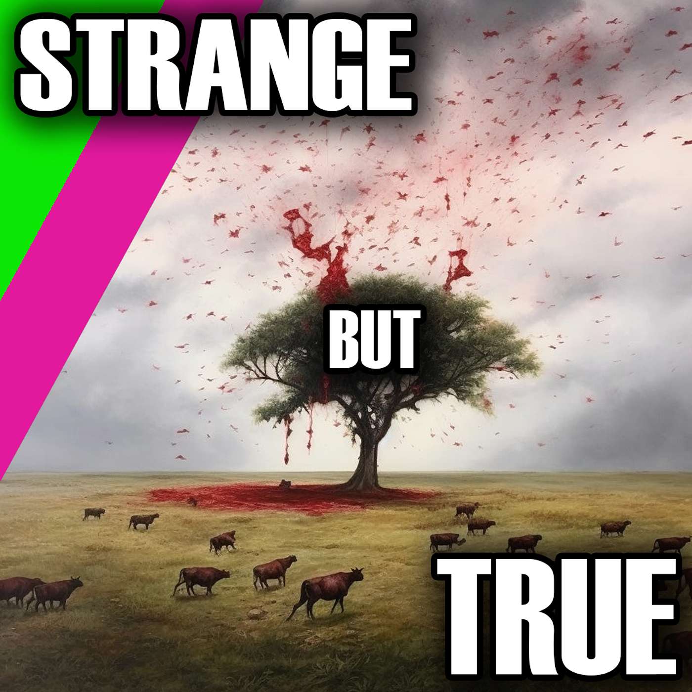 True Stories
