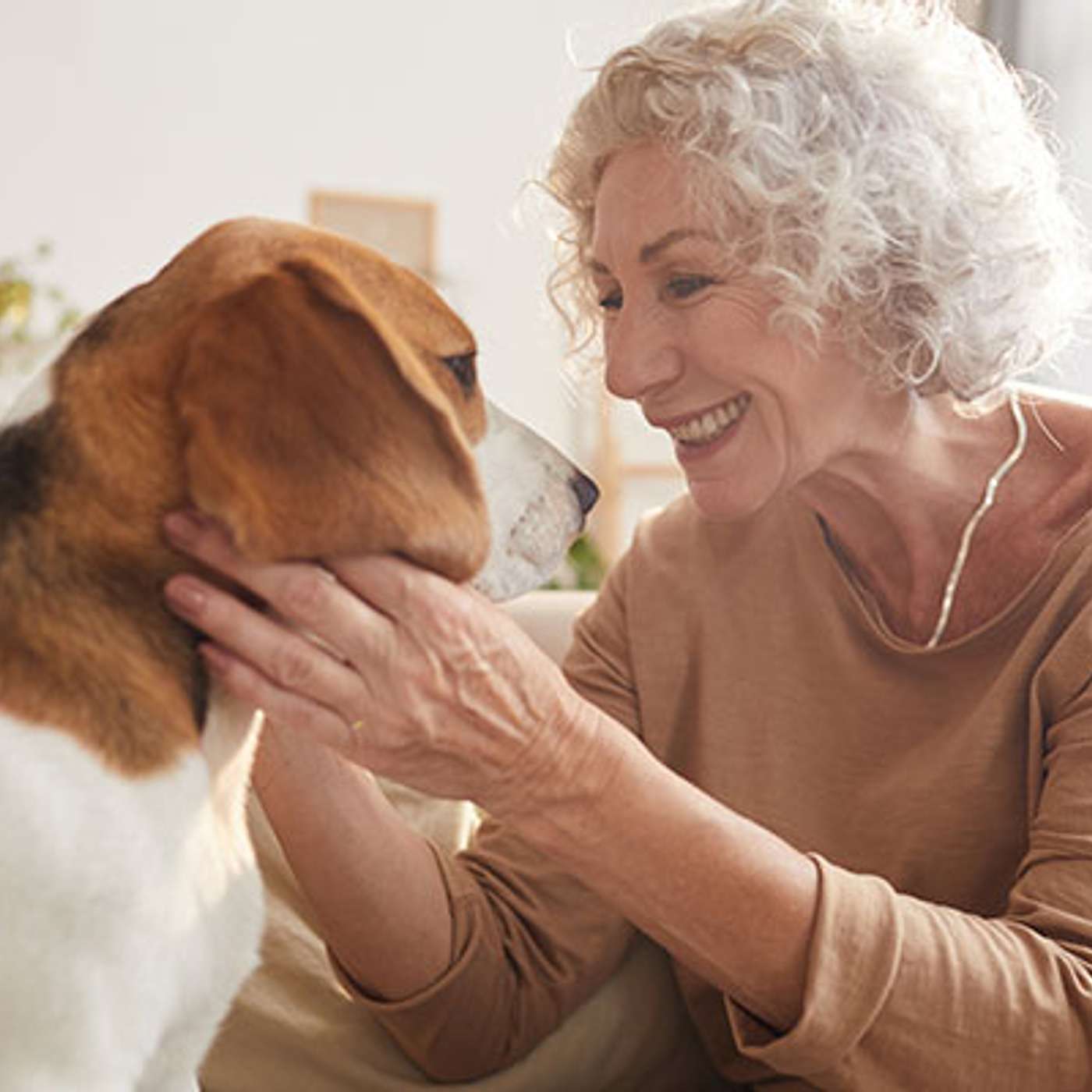 Pets and the Pandemic: A Bright Spot in This Time of Crisis? episode artwork