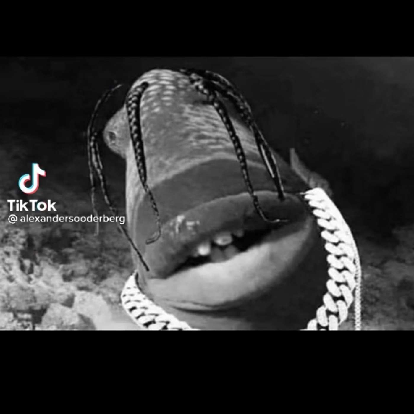 Borith Narin's Podcast