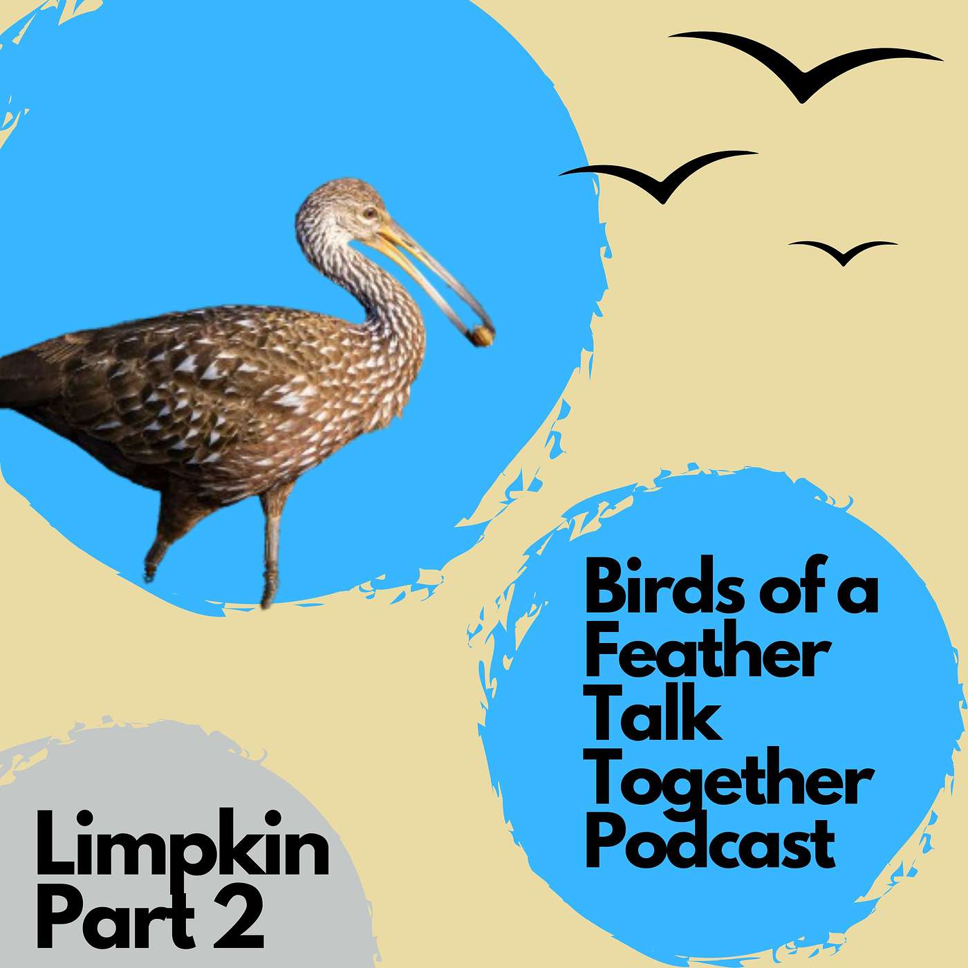 Birds of a Feather Talk Together