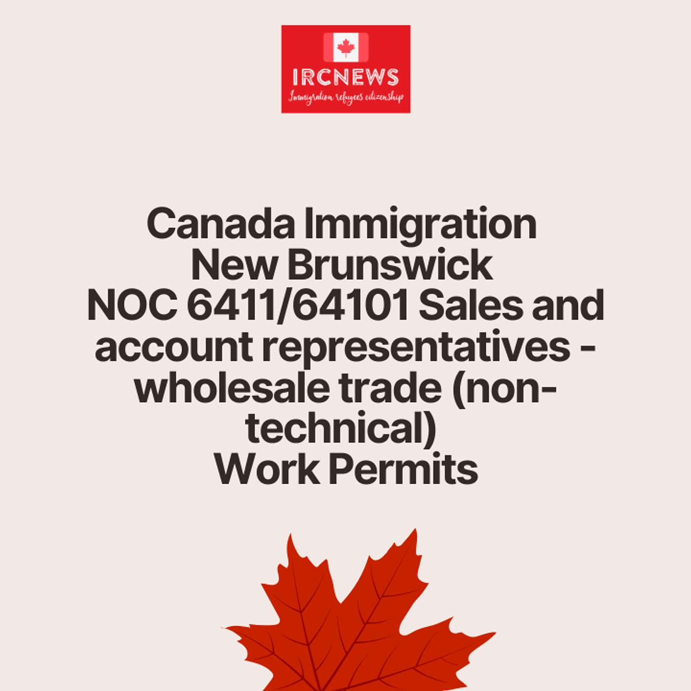 Canada Immigration New Brunswick NOC 6411/64101 Sales and account representatives - wholesale trade (non-technical) Work Permits episode artwork