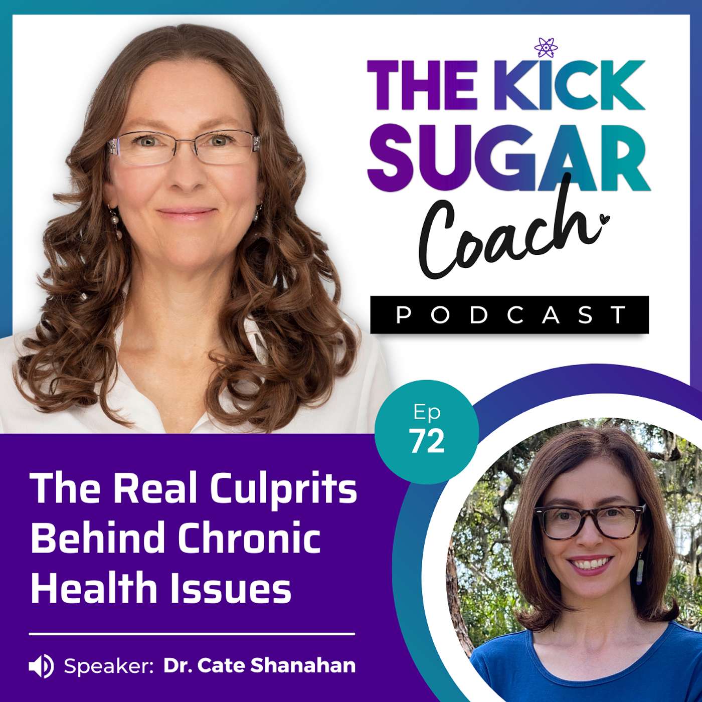 The Kick Sugar Coach Podcast