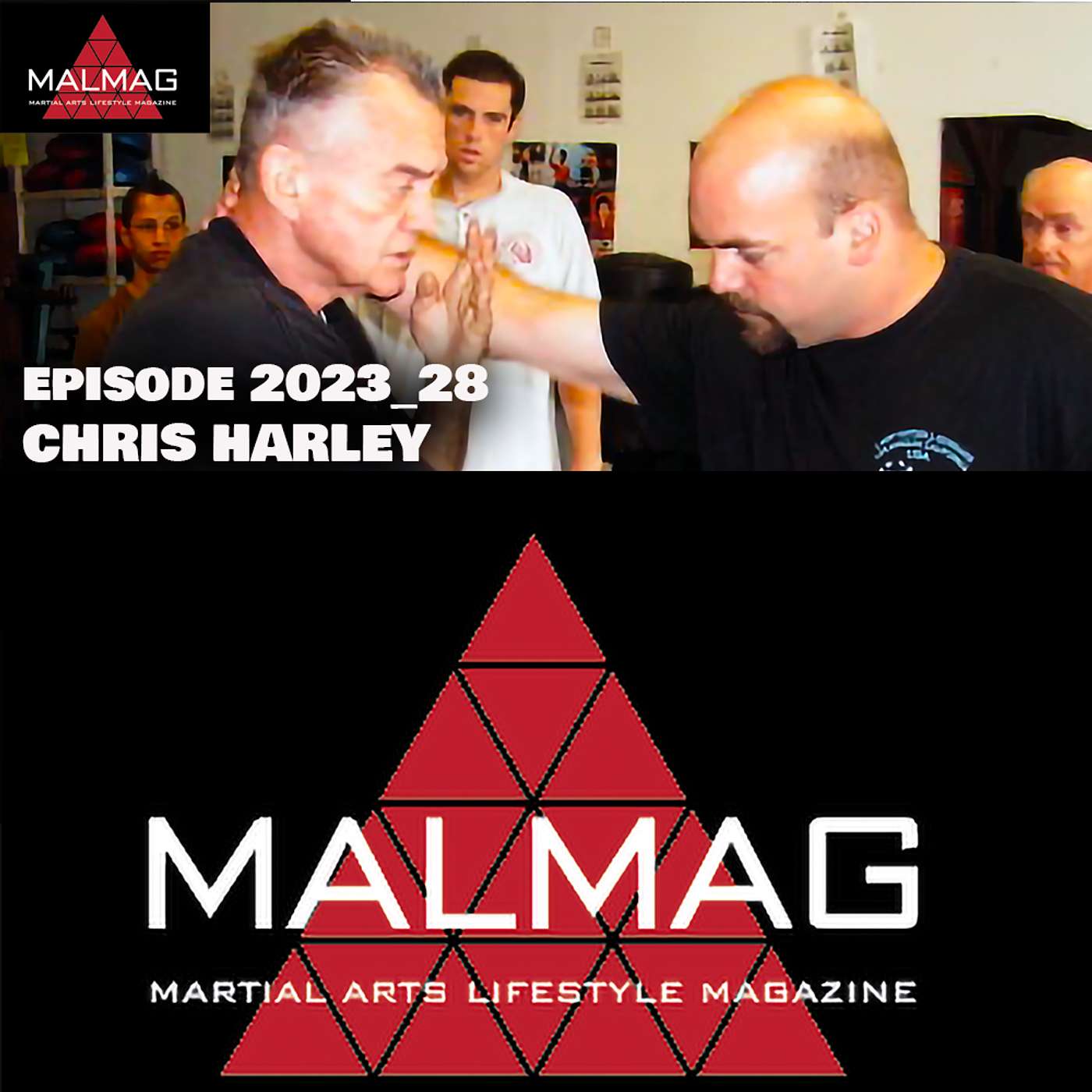 The Martial Arts Lifestyle Podcast