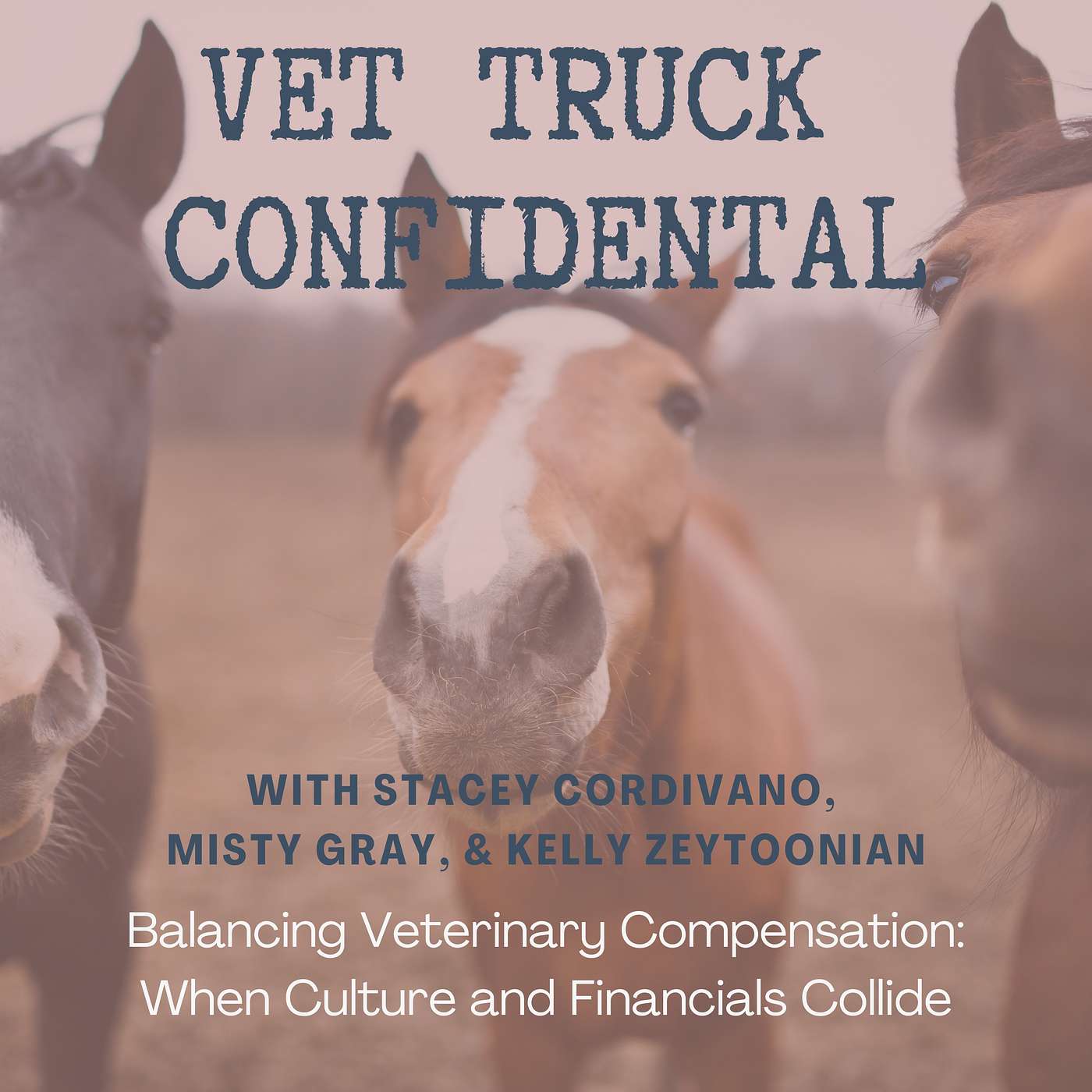 VET TRUCK CONFIDENTIAL: Balancing Veterinary Compensation: When Culture and Financials Collide