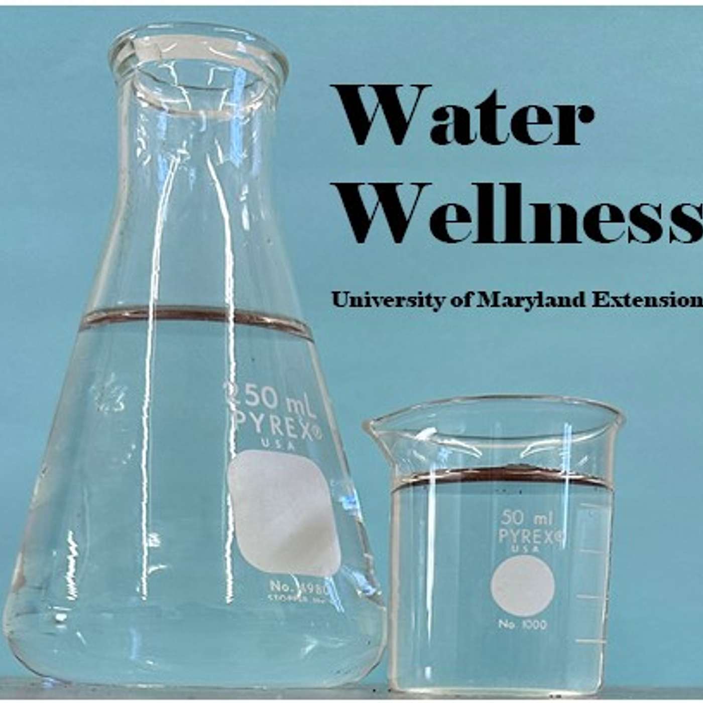 Water Wellness 