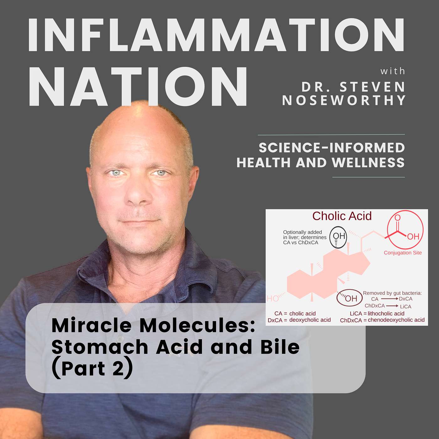 Inflammation Nation: Science Informed Wellness