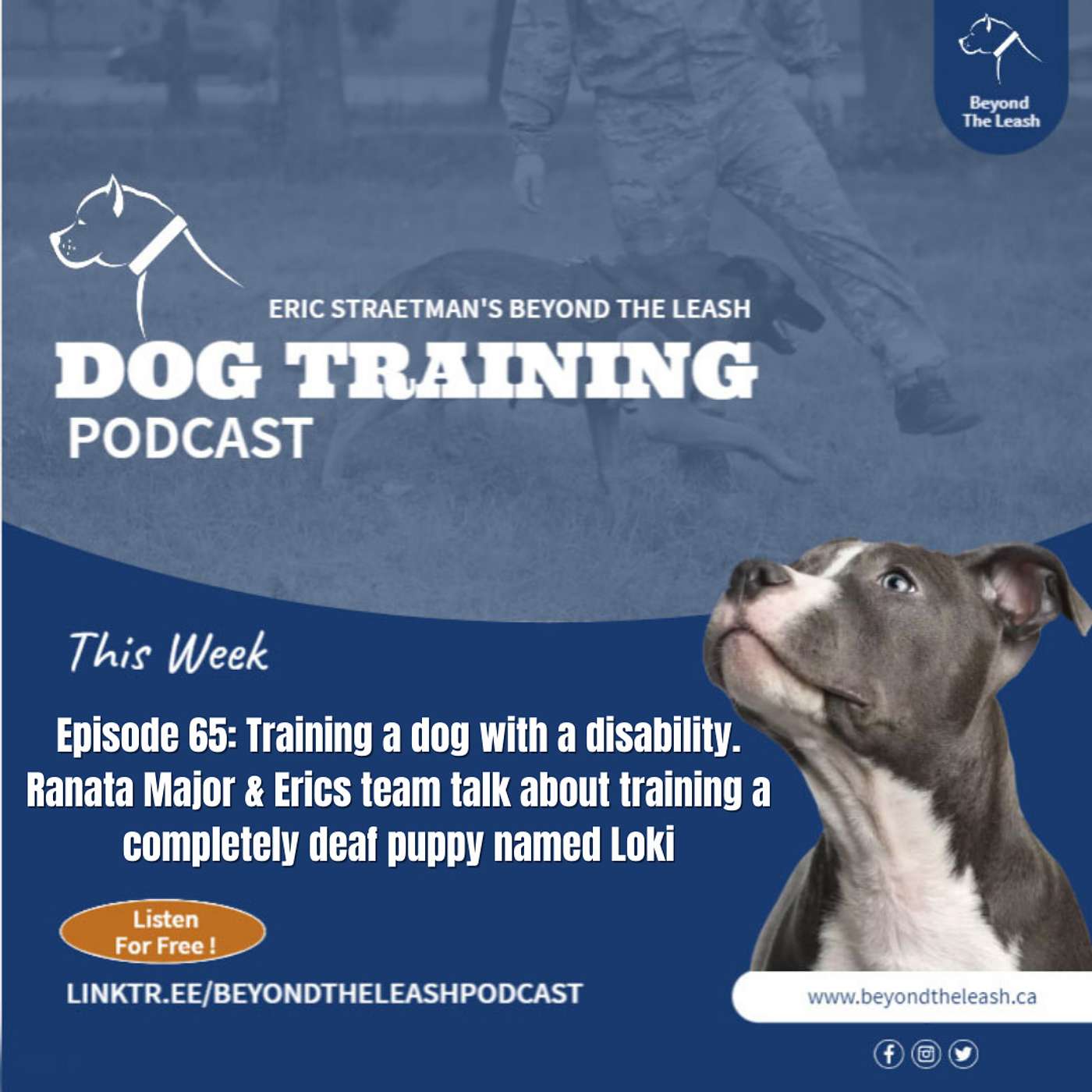Episode 65: Training a dog with a disability.