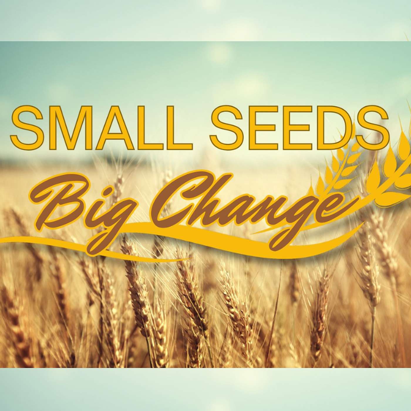 Small Seed Big Change - I Can Enjoy Freedom episode artwork