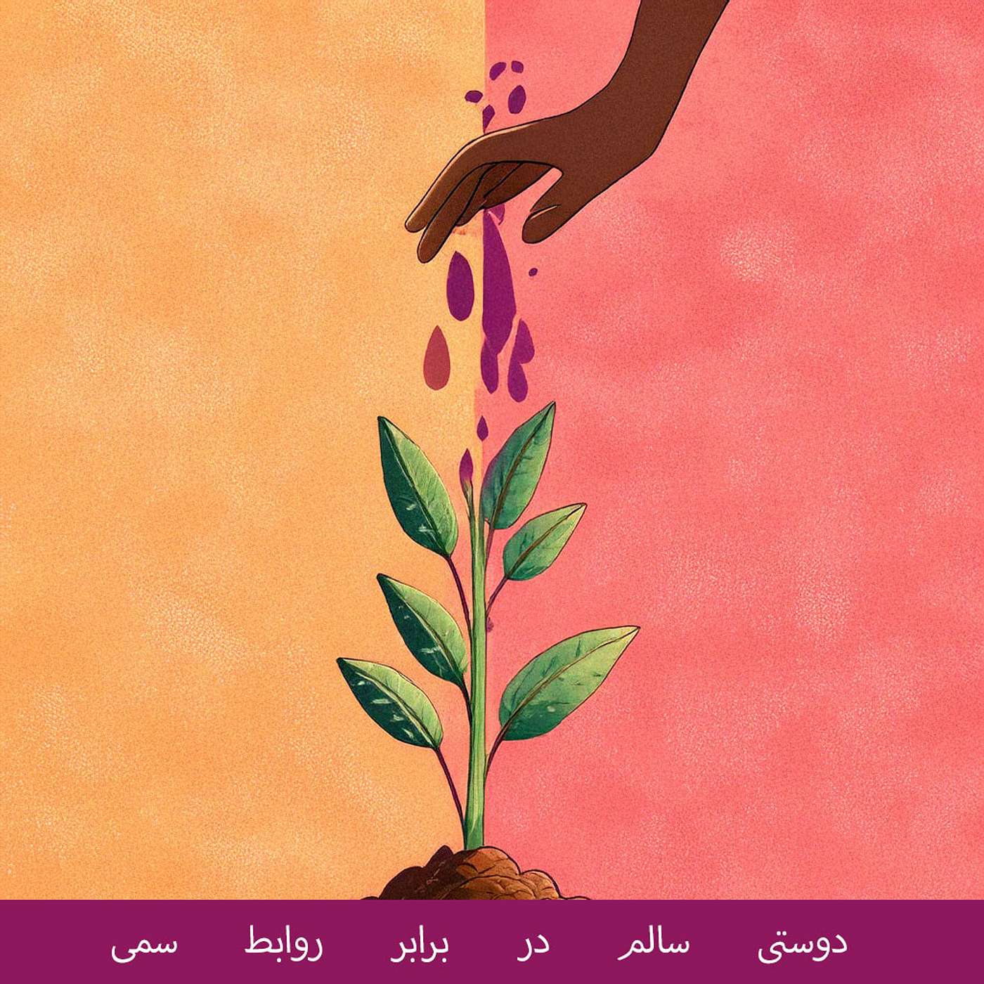 کد موفقیت