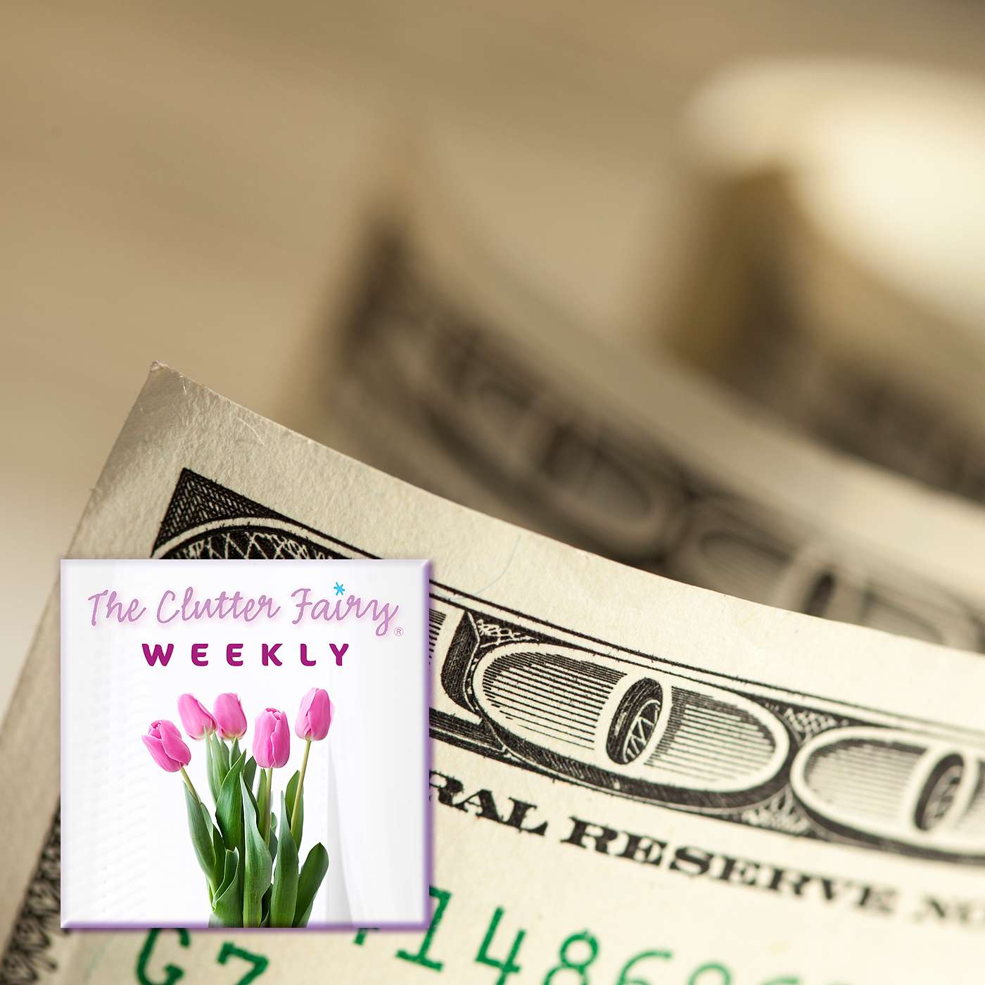 The Clutter Fairy Weekly #43 - Money, Money, Money: The Problem with Monetary Value