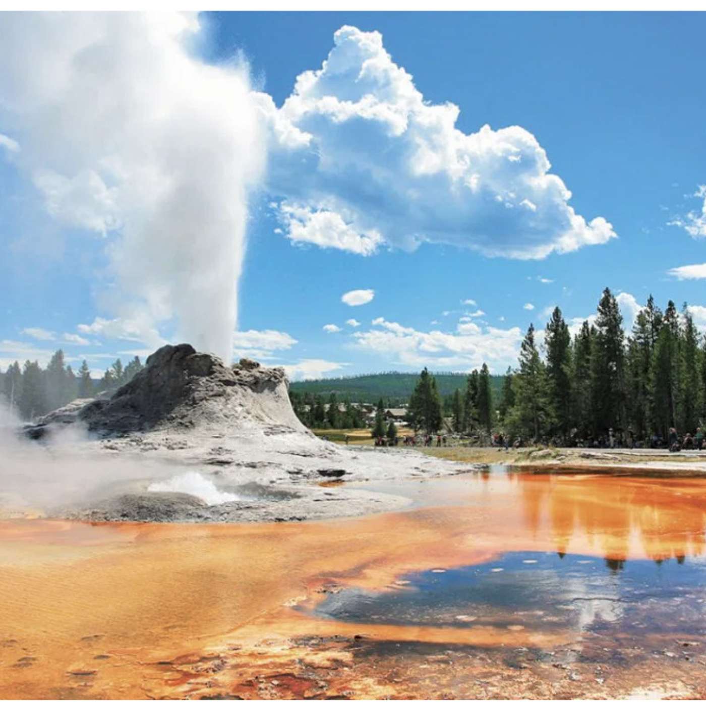 Typhoid Mary and The Yellowstone Conspiracy