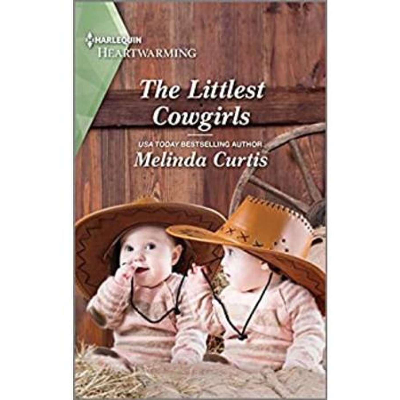 Meet the Littlest Cowgirls with USAT Best Seller Melinda Curtis on Book Lights episode artwork