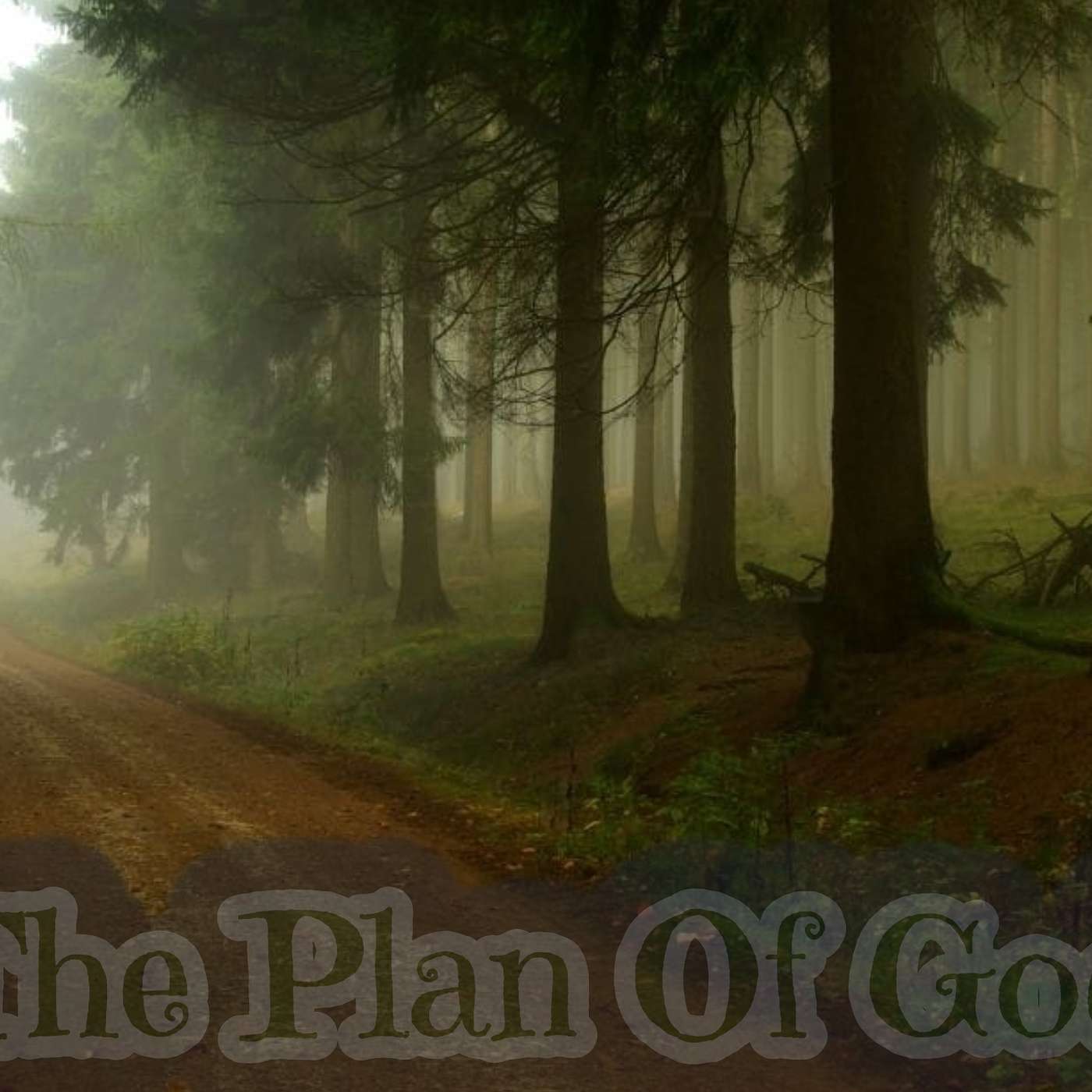 The Plan of God Part One: The Big Picture