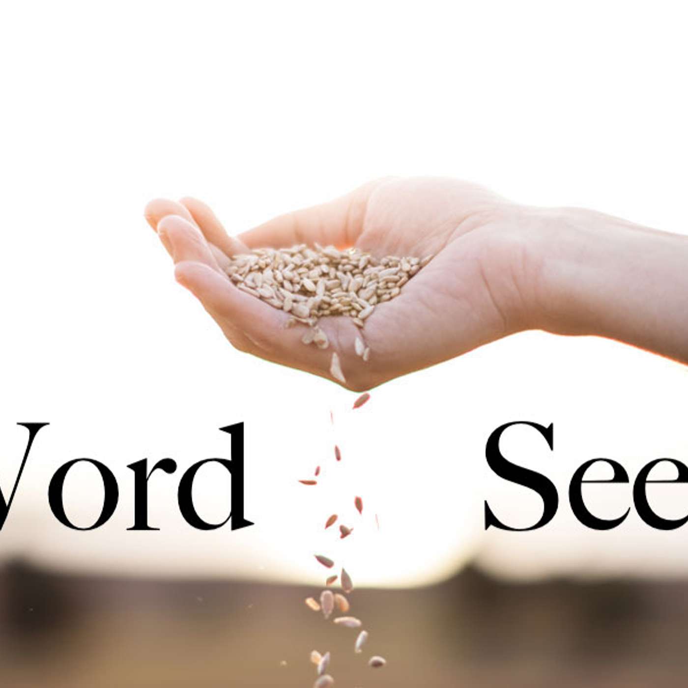 Word Seed