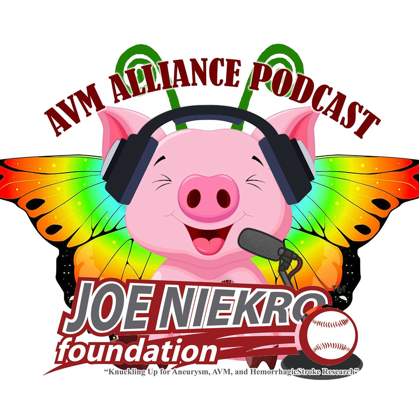 AVM Alliance Podcast
