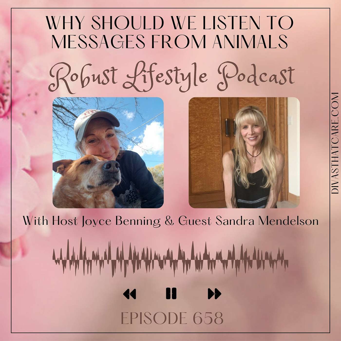 Why Should We Listen To Messages From Animals episode artwork