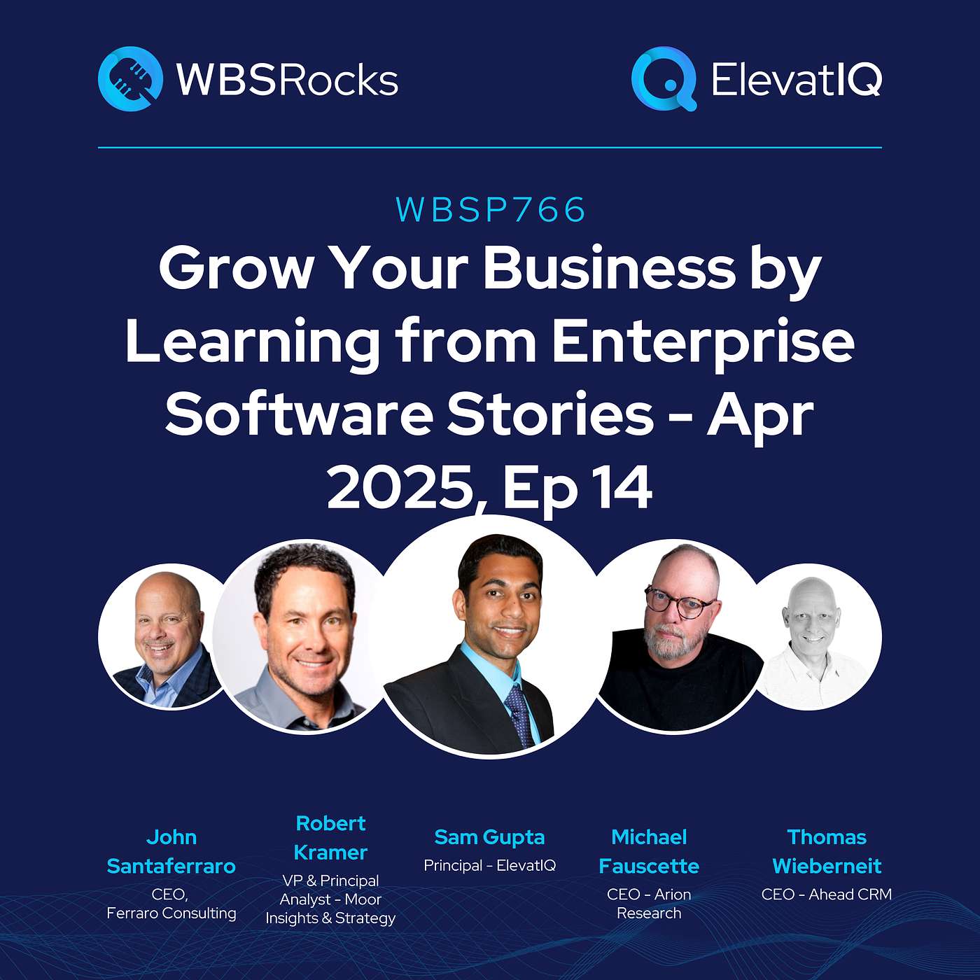 WBSP766: Grow Your Business by Learning from Enterprise Software Stories - Apr 2025, Ep 14, an Objective Panel Discussion