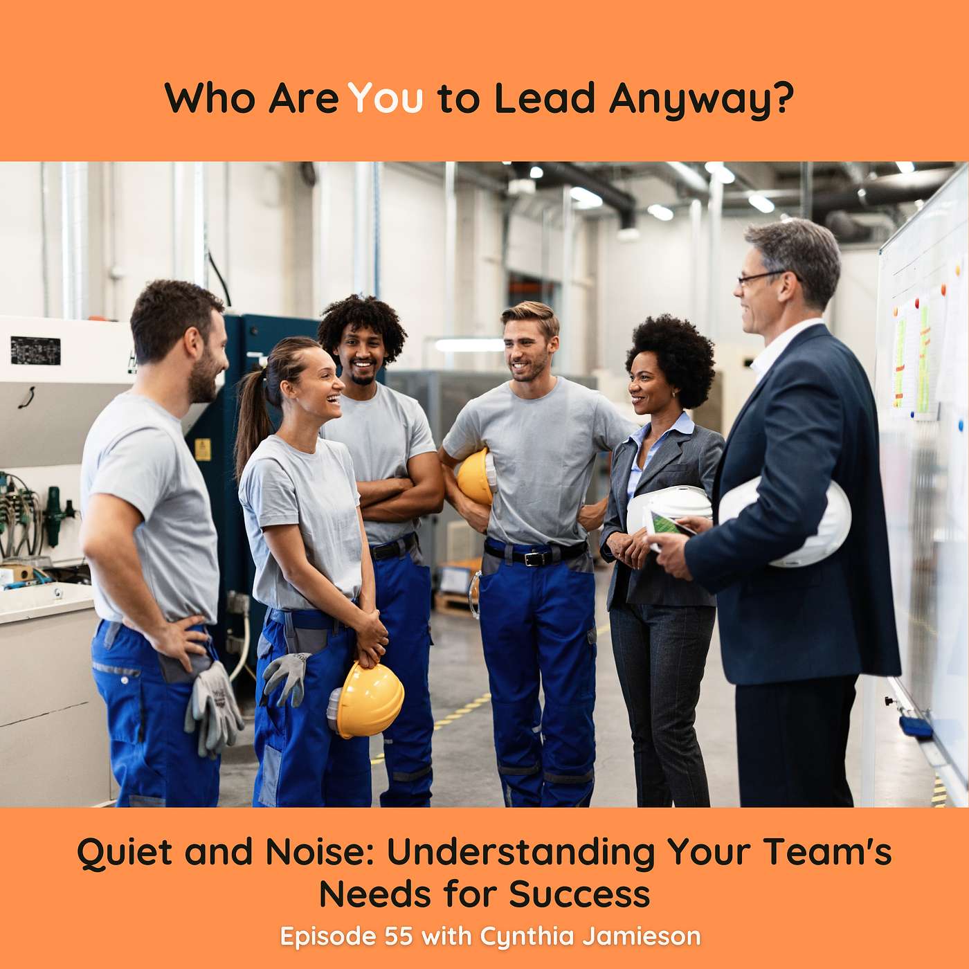 E55:  Quiet and Noise: Understanding Your Team's Needs for Success episode artwork