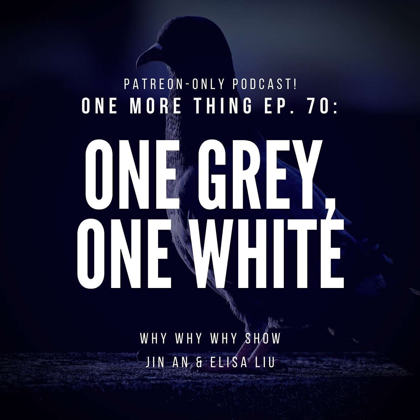 BONUS! 'One More Thing' Ep. 70: 'One Grey, One White'. (Our Patreon-Only Podcast)