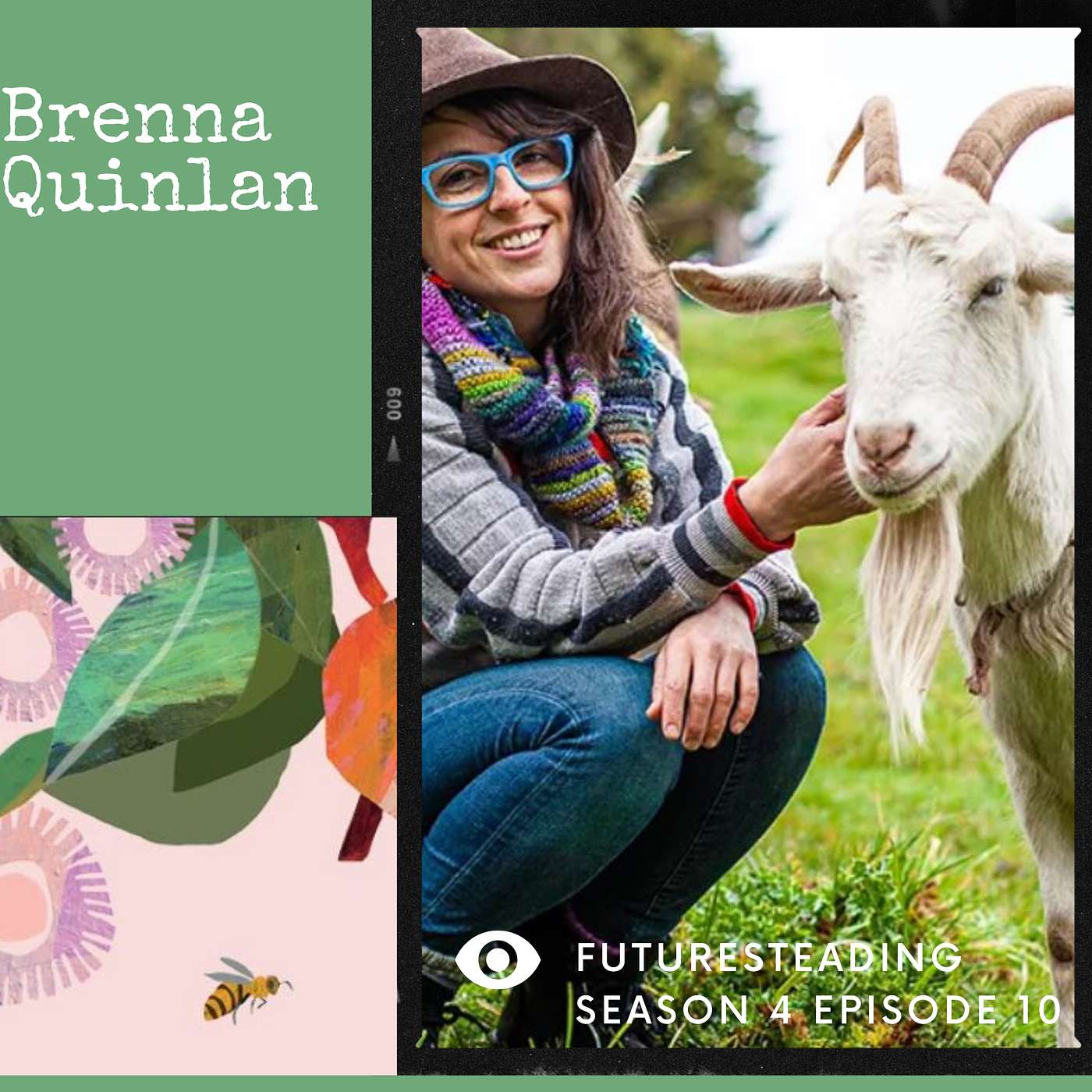 86 Brenna Quinlan - ‘Moonthly' Cycles,  Sociocracy and a Weekly Dose of 'Soupie'.
