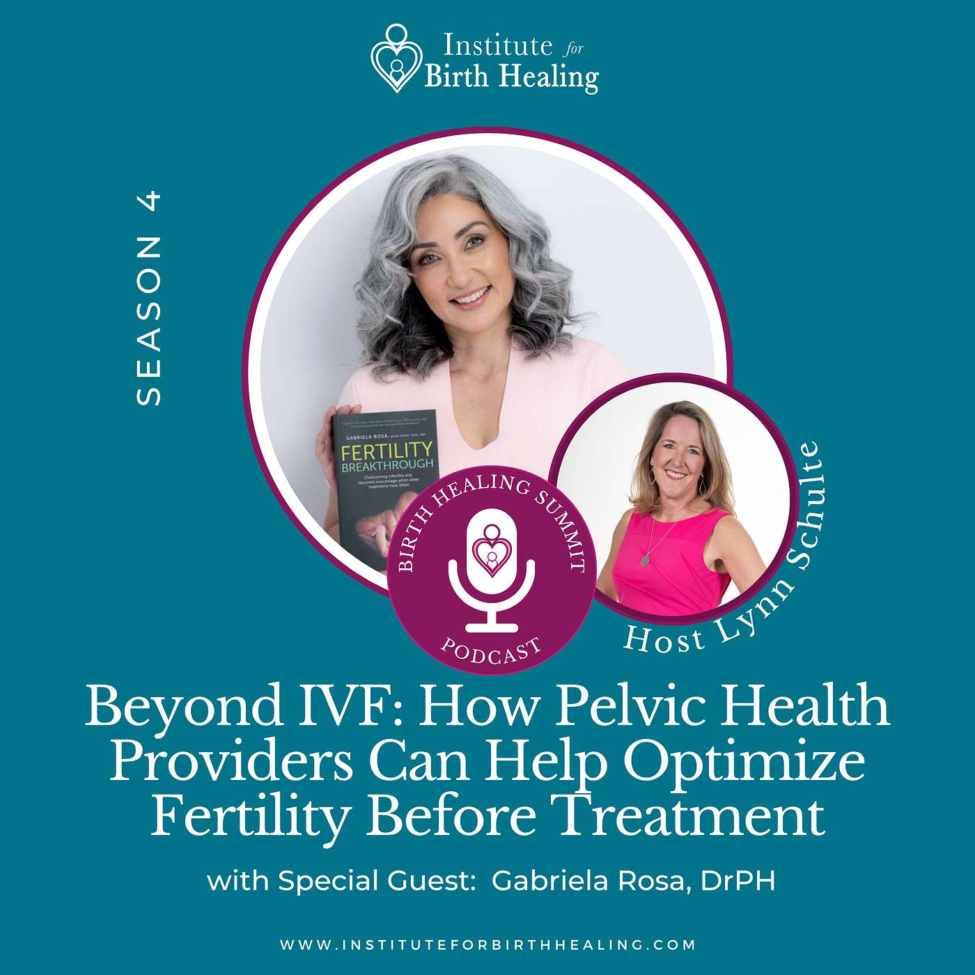 Beyond IVF: How Pelvic Health Providers Can Help Optimize Fertility Before Treatment episode artwork