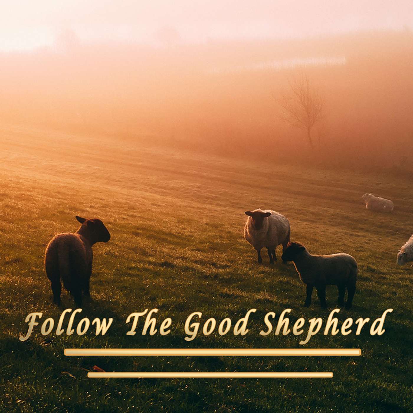 🐏 Follow The Good Shepherd - EB:16