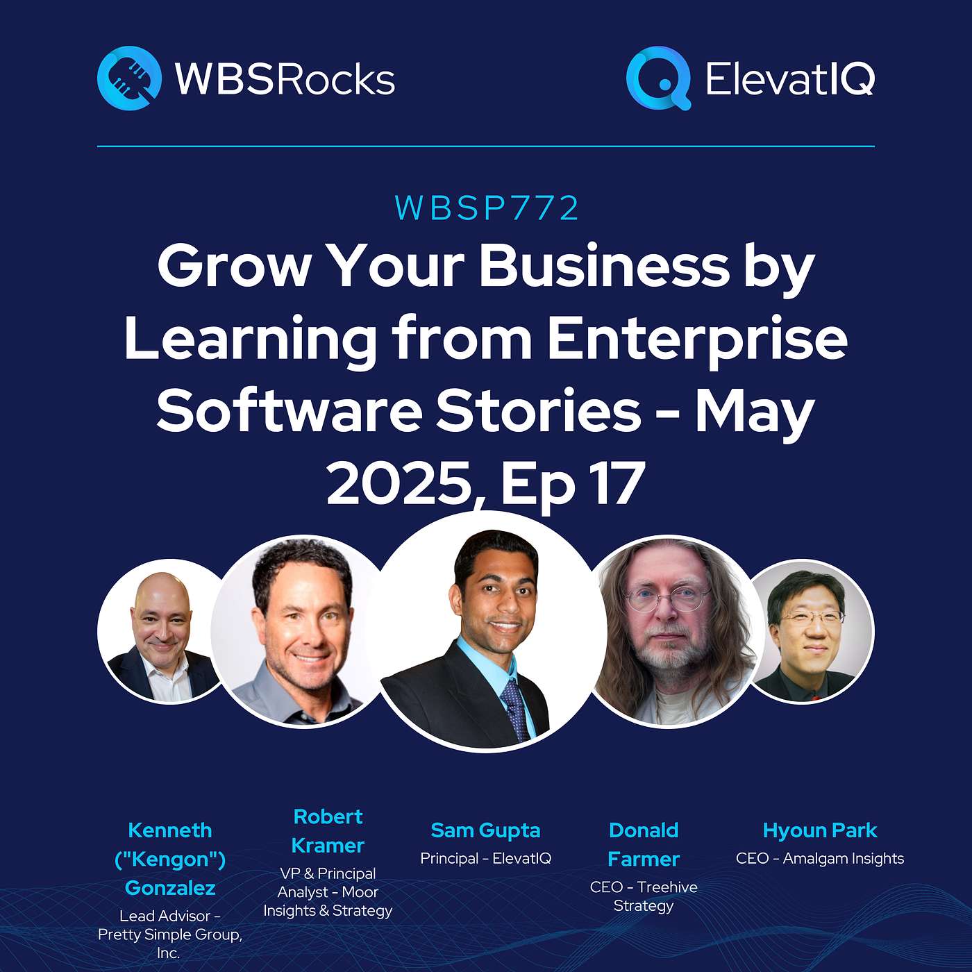 WBSP772: Grow Your Business by Learning from Enterprise Software Stories - May 2025, Ep 17, an Objective Panel Discussion