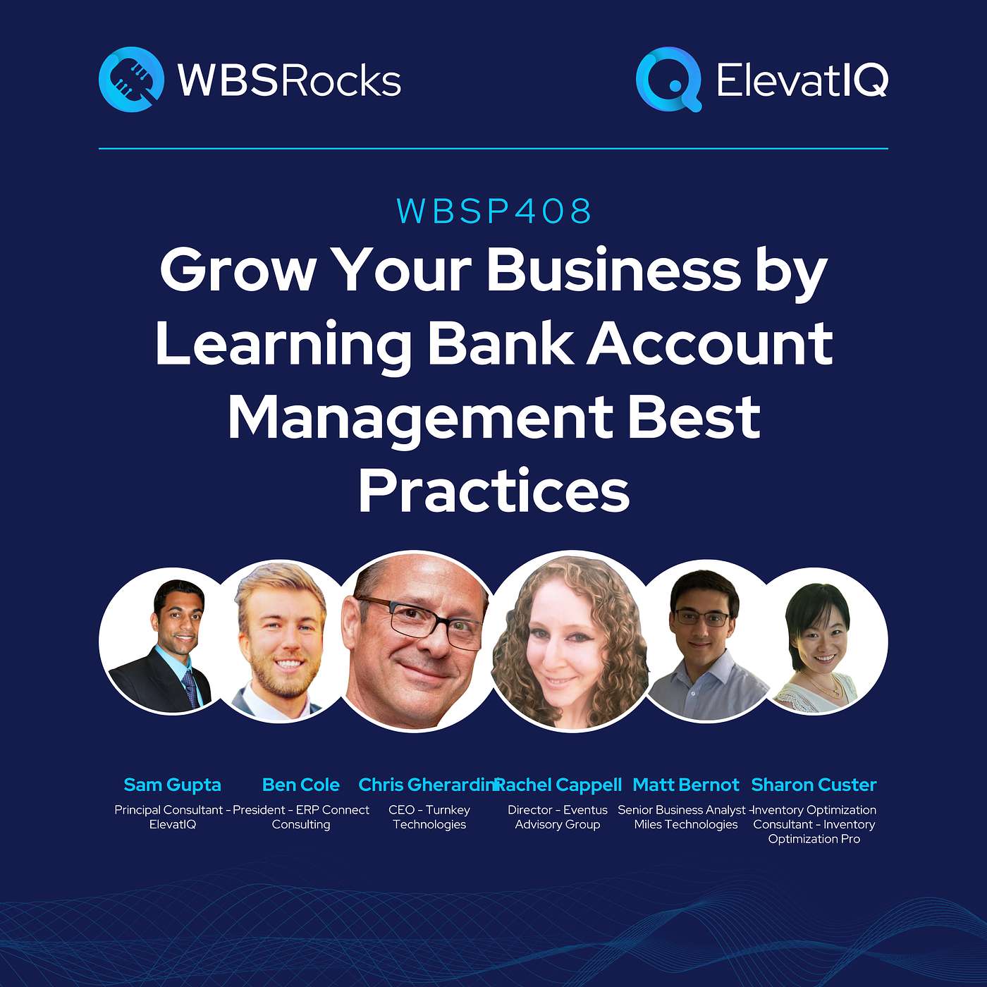 WBSP408: Grow Your Business by Learning Bank Account Management Best Practices, a Live Interview w/ a Panel of Experts