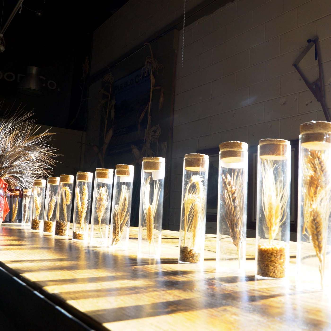 Growing Community, Culture, and Climate-Adapted Crops Growing Community, Culture, and Climate-Adapted Crops