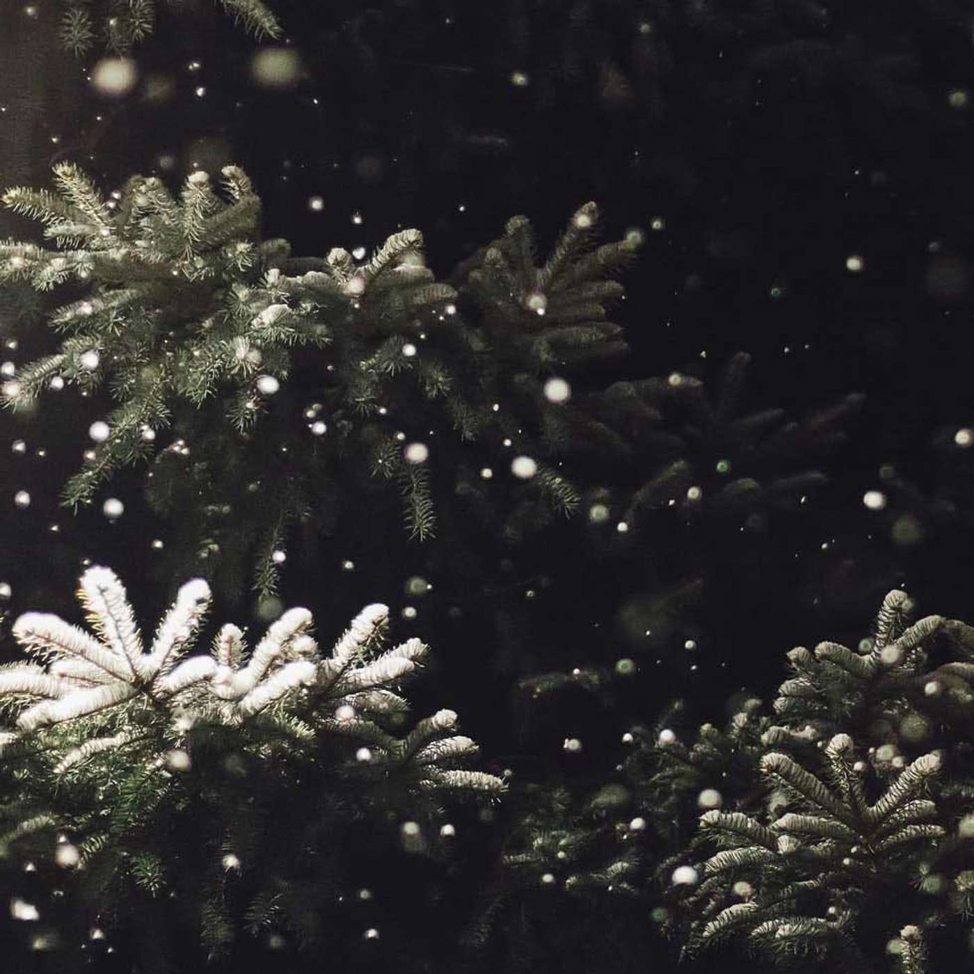 Sunday Service Podcast December 5th – Rays of Light