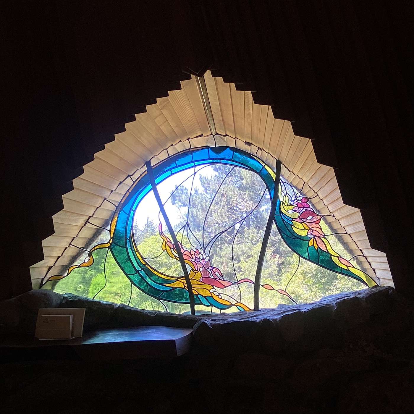 Aspire with Osha: art, nature, humanity