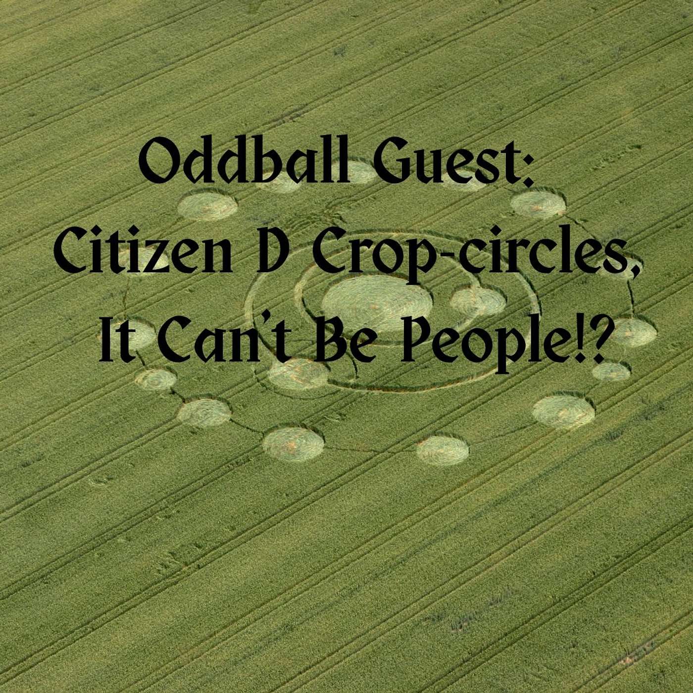 Oddball Guests: Citizen D - Crop Circles, It Can't Be People?!