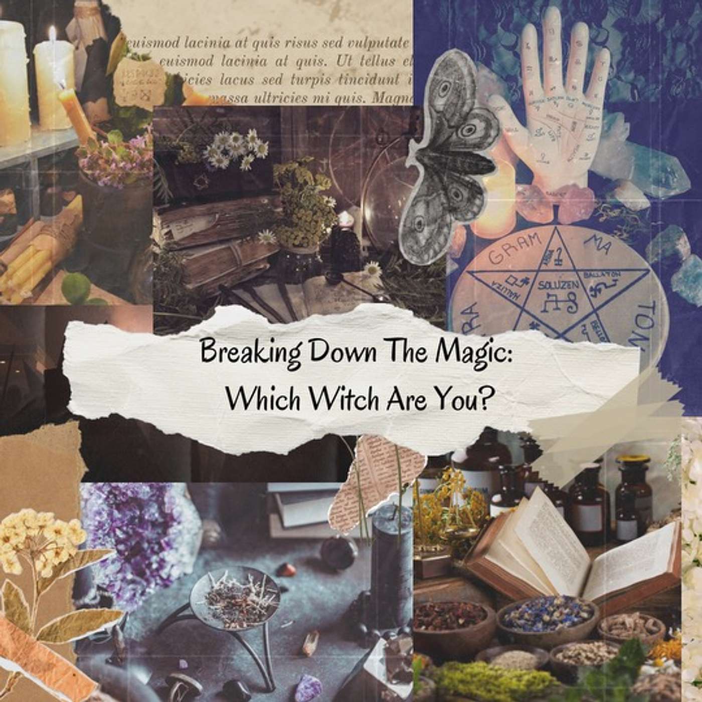 Oddity Shop - Breaking Down The Magic: Which Witch Are You?