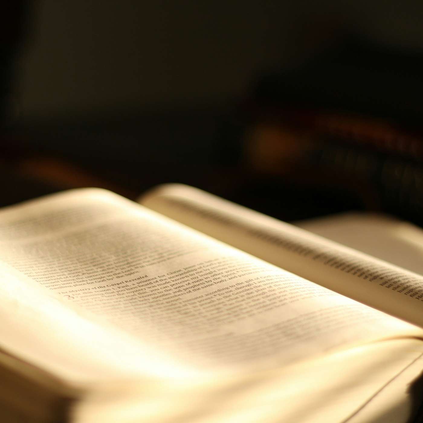 Museum of the Bible and Evolution - Pretending to be Religiously Neutral