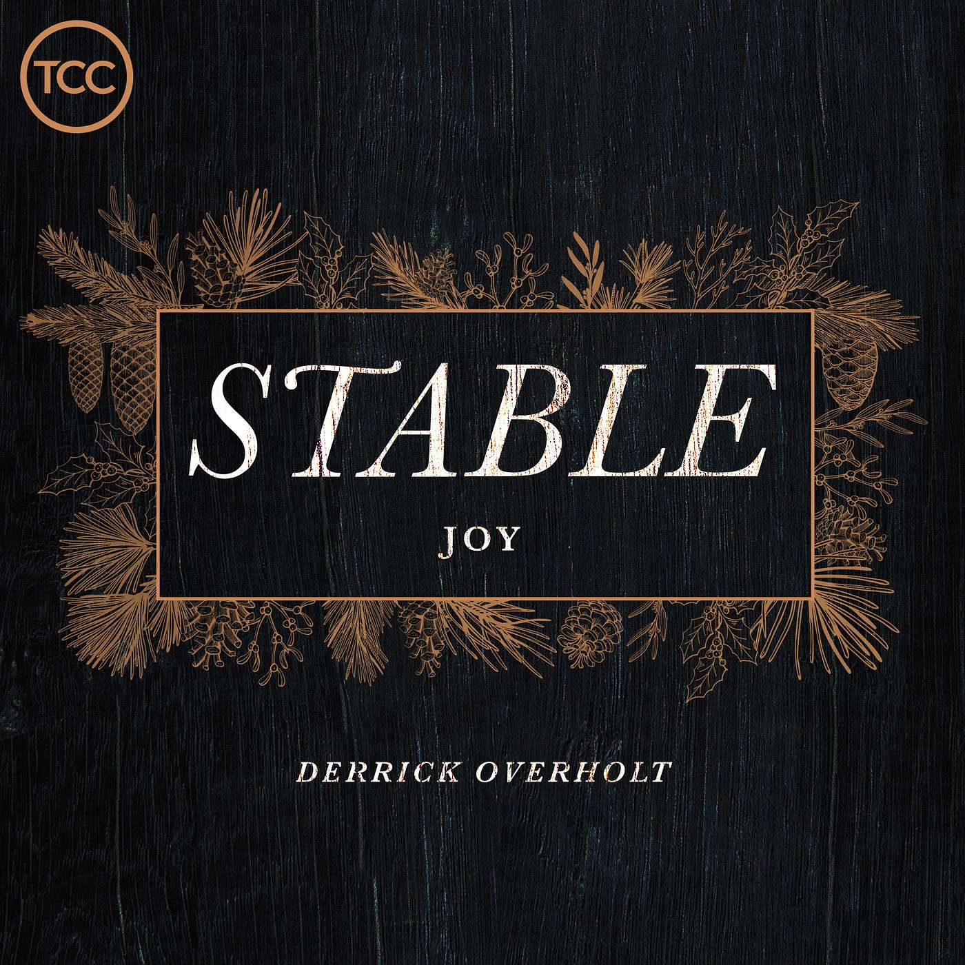 Stable - Joy