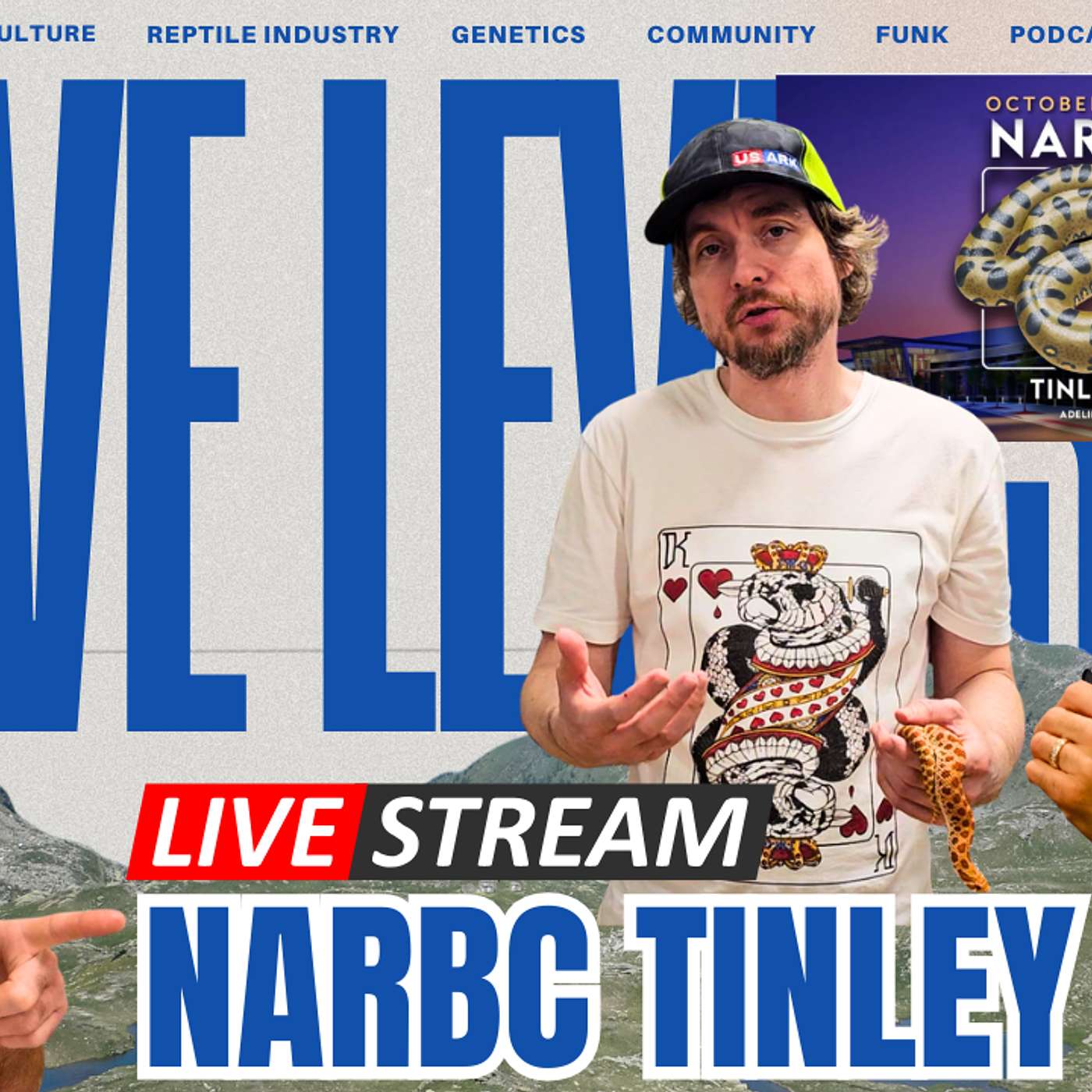 What BIG Dogs Are Here? | Live & Direct From NARBC Tinley October 2025