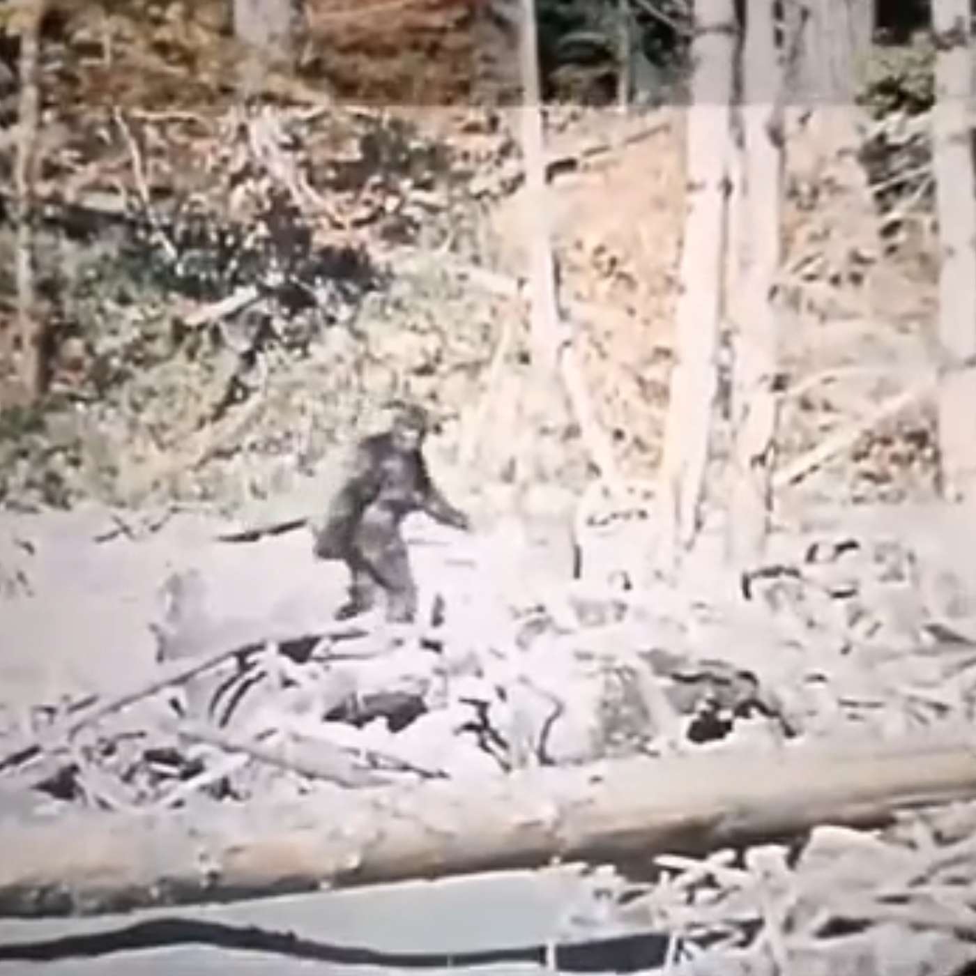 Tracking Bigfoot: A Journey from Past to Present with Dr.Simeon Hein