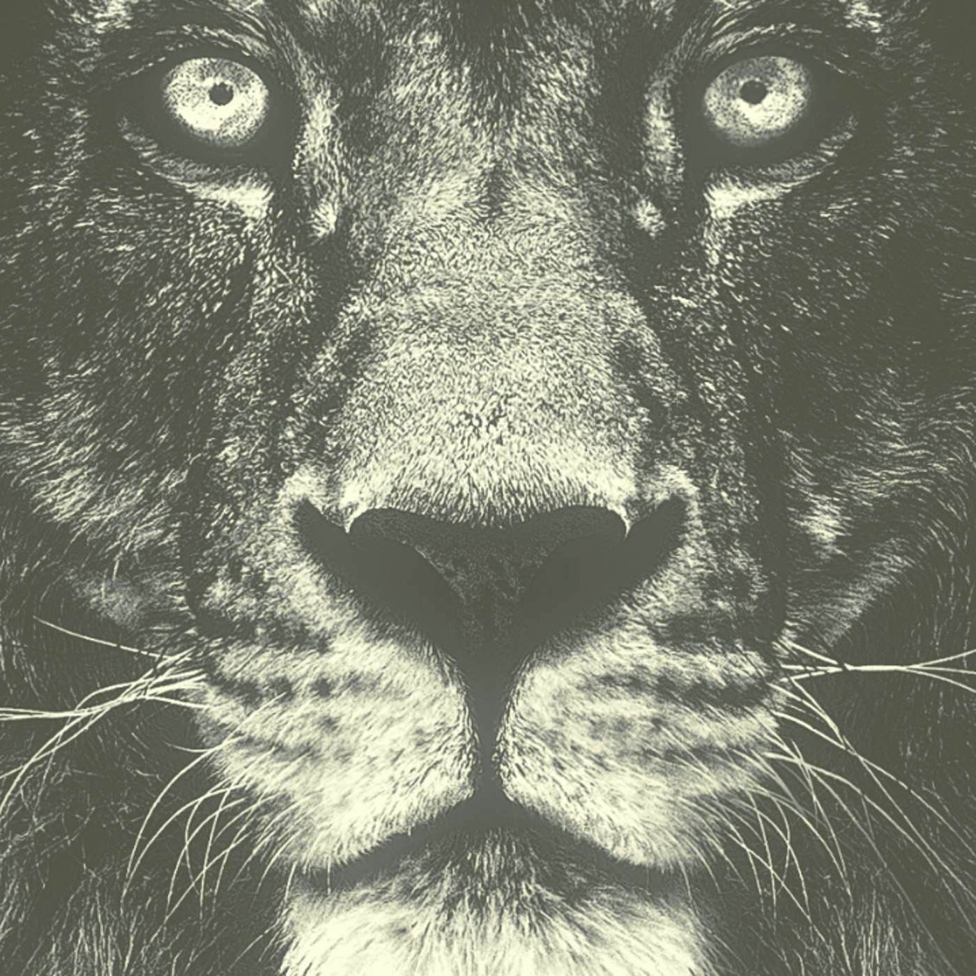 Why do we value fear so much?