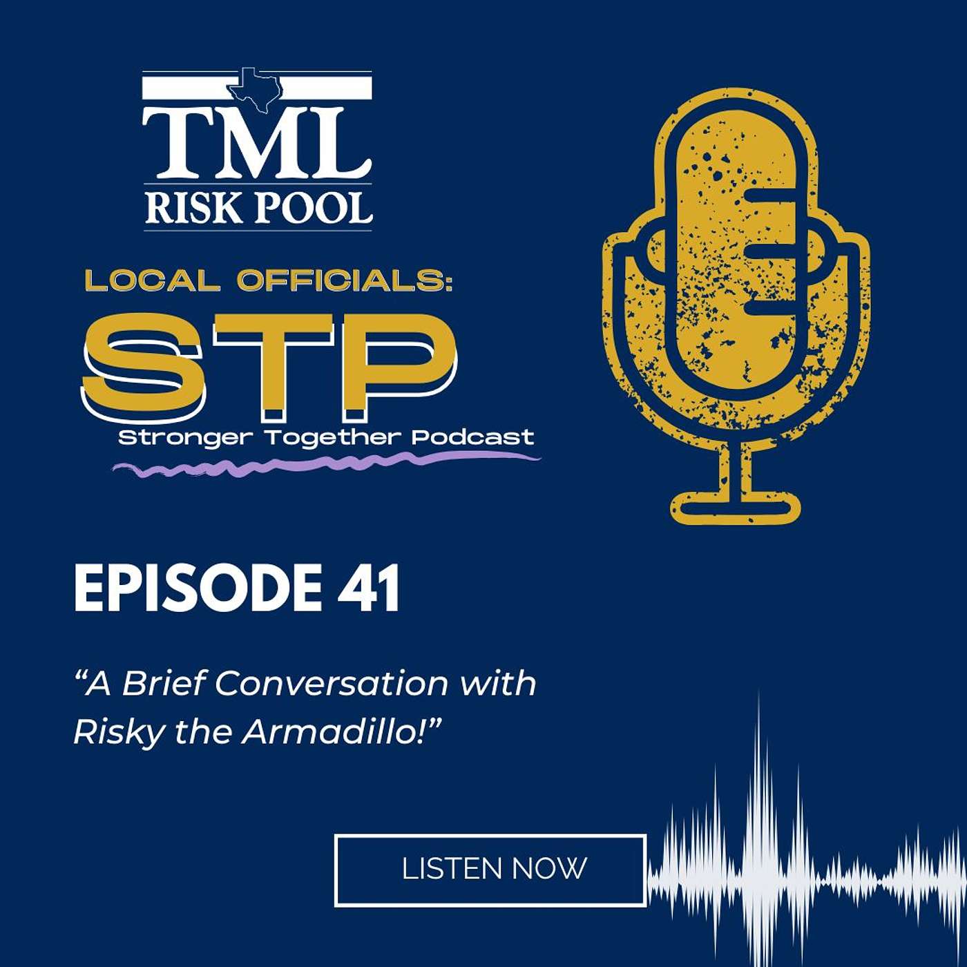 Local Officials: Stronger, Together Podcast