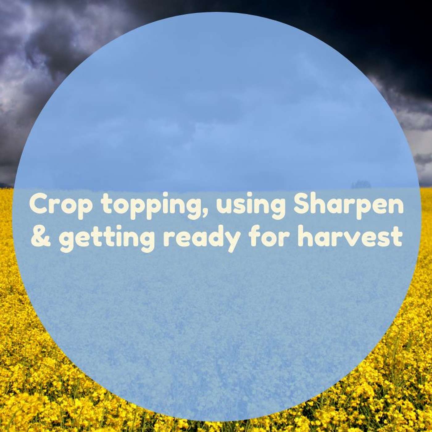Crop topping, using Sharpen & getting ready for harvest