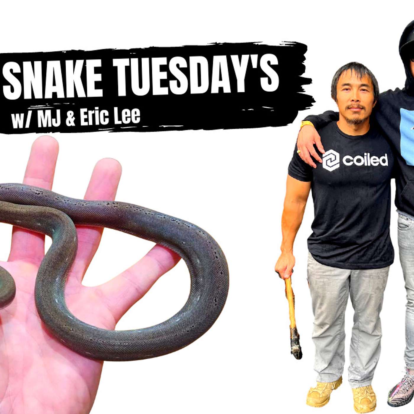 Creating Awareness within the Retic Community | P.H.A.T Snake Tuesday's