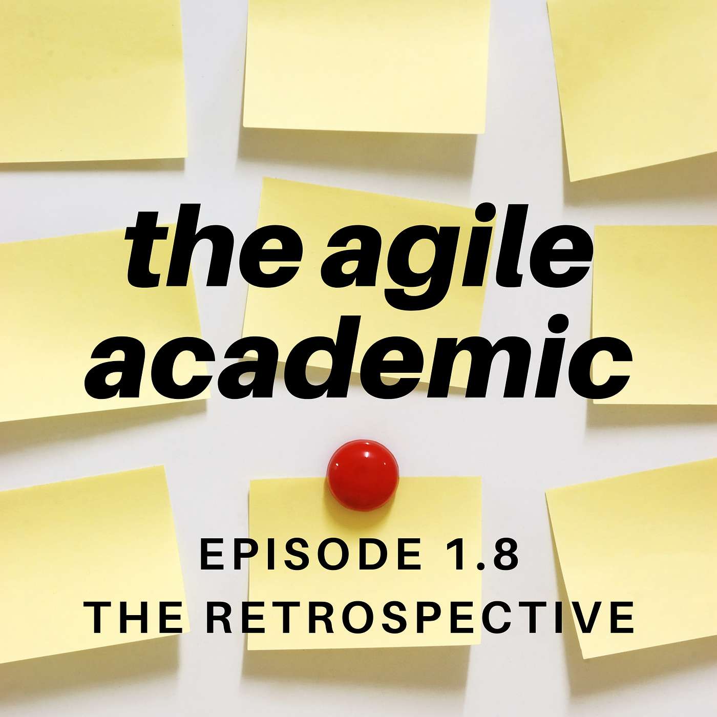the agile academic