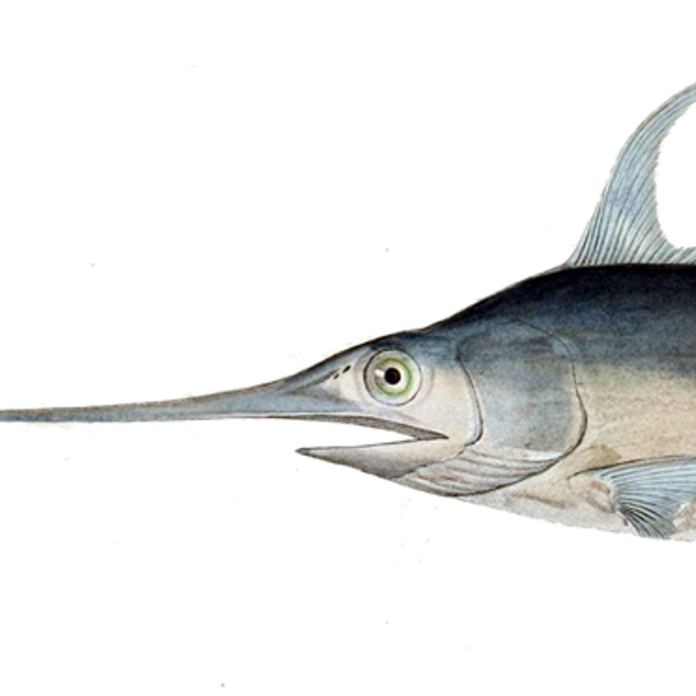 31. Mercury Poisoning