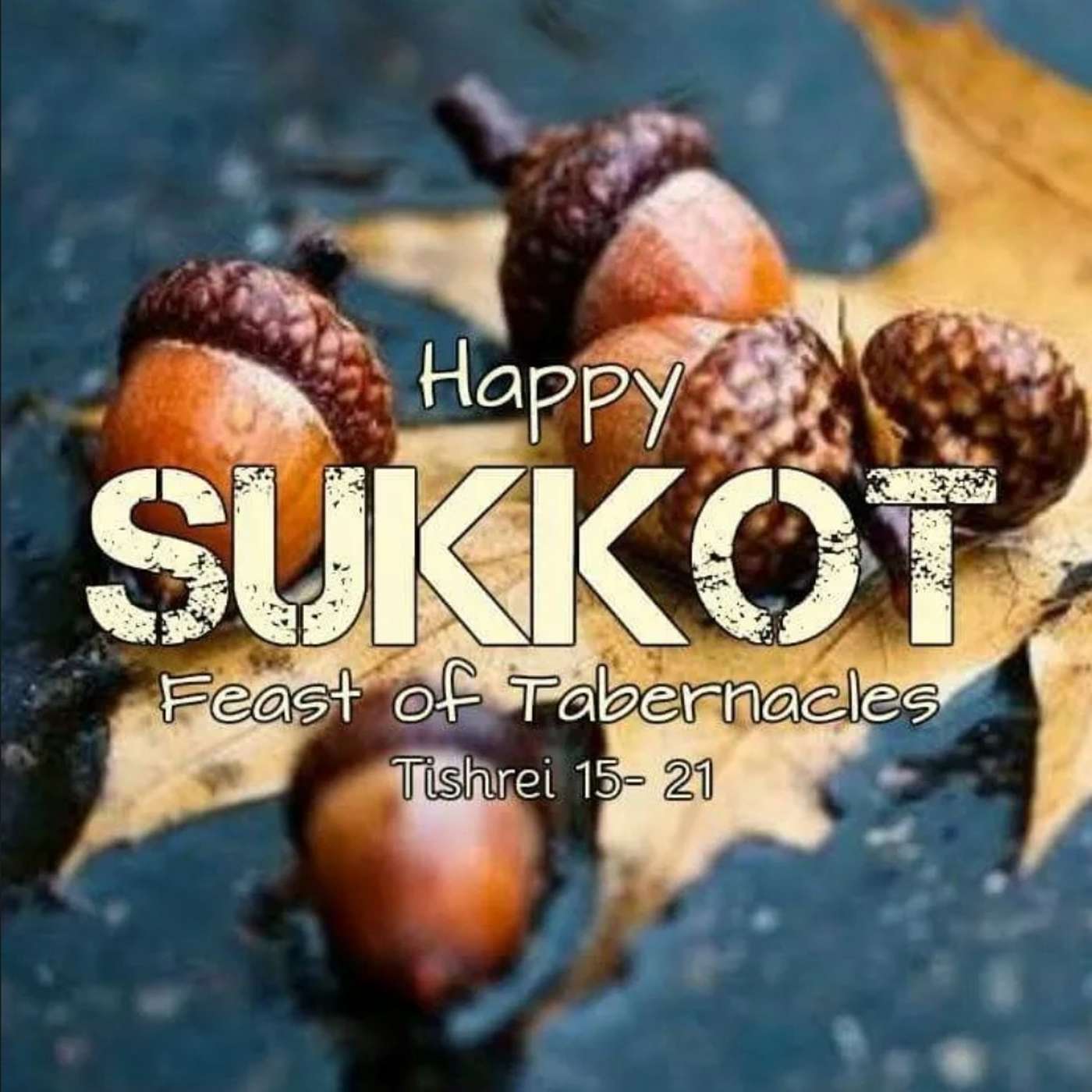 Sukkot: The Last Great Day