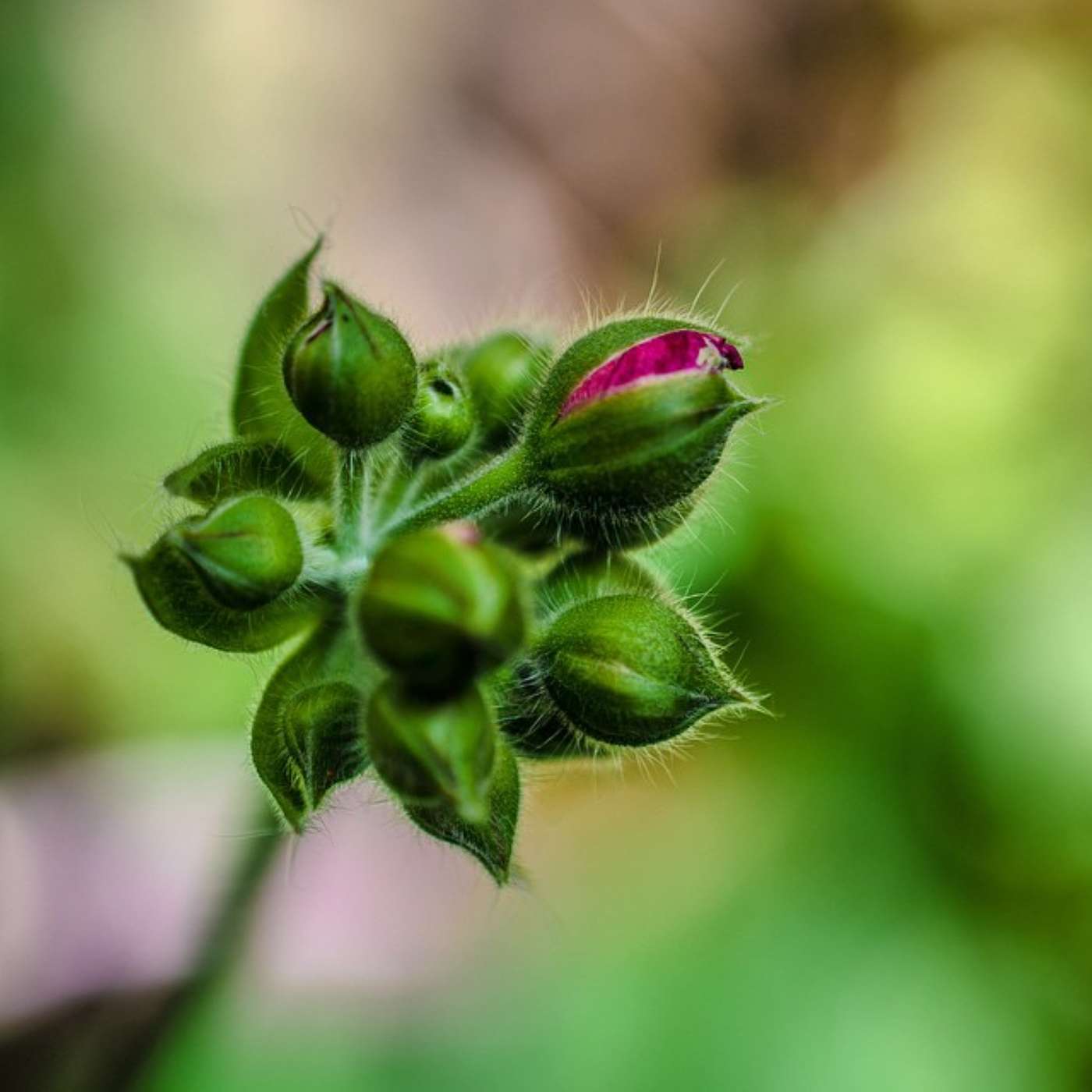 The Infinite Life: Consciousness Raising, Spiritual Transformation