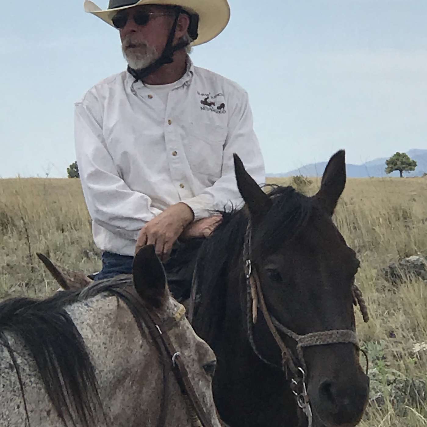 PRESTON BATES - N-BAR RANCH - RESERVE, NEW MEXICO episode artwork