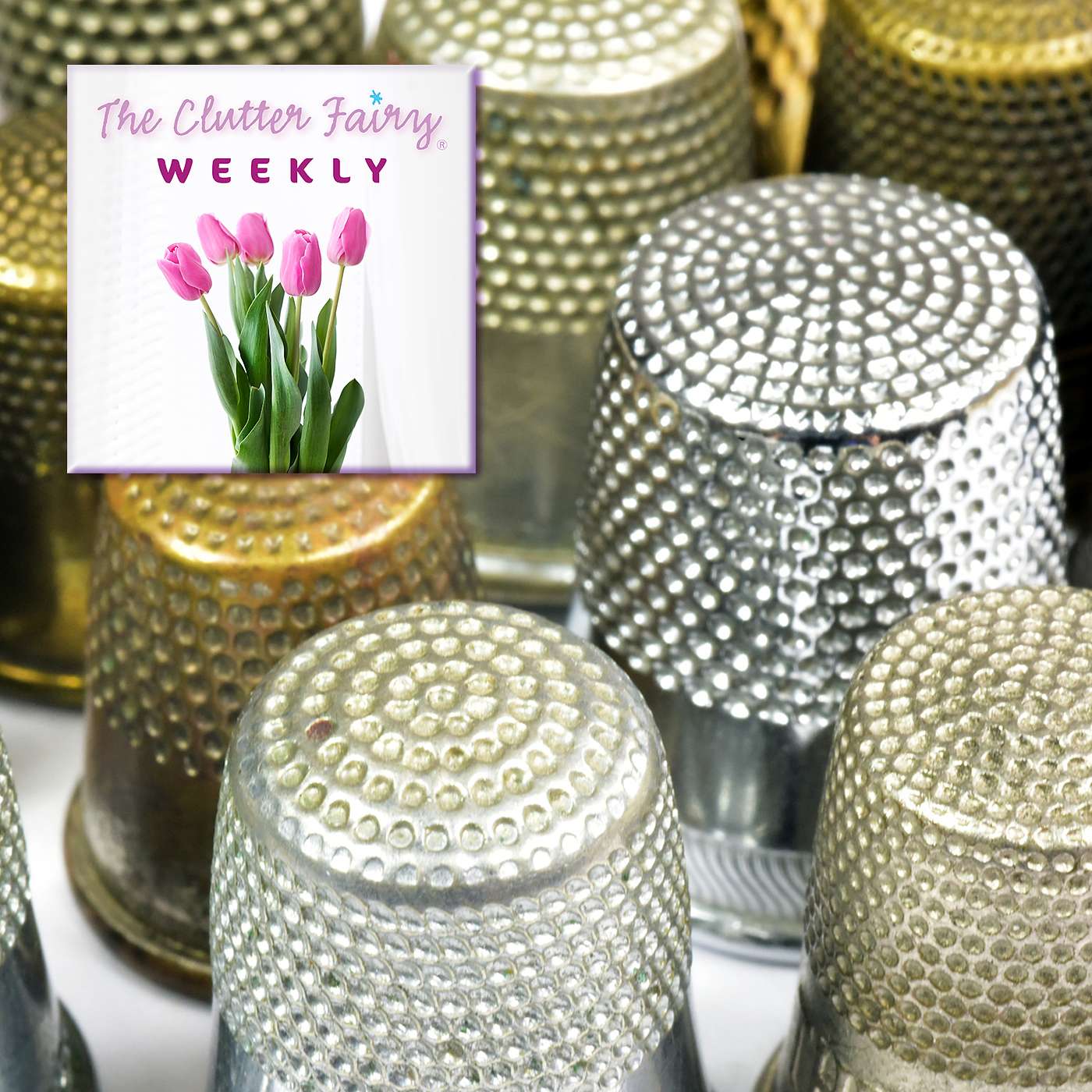 The Clutter Fairy Weekly #29 - Beanie Babies, Snow Globes, and Imperial Stormtroopers: Collection or Chaos?